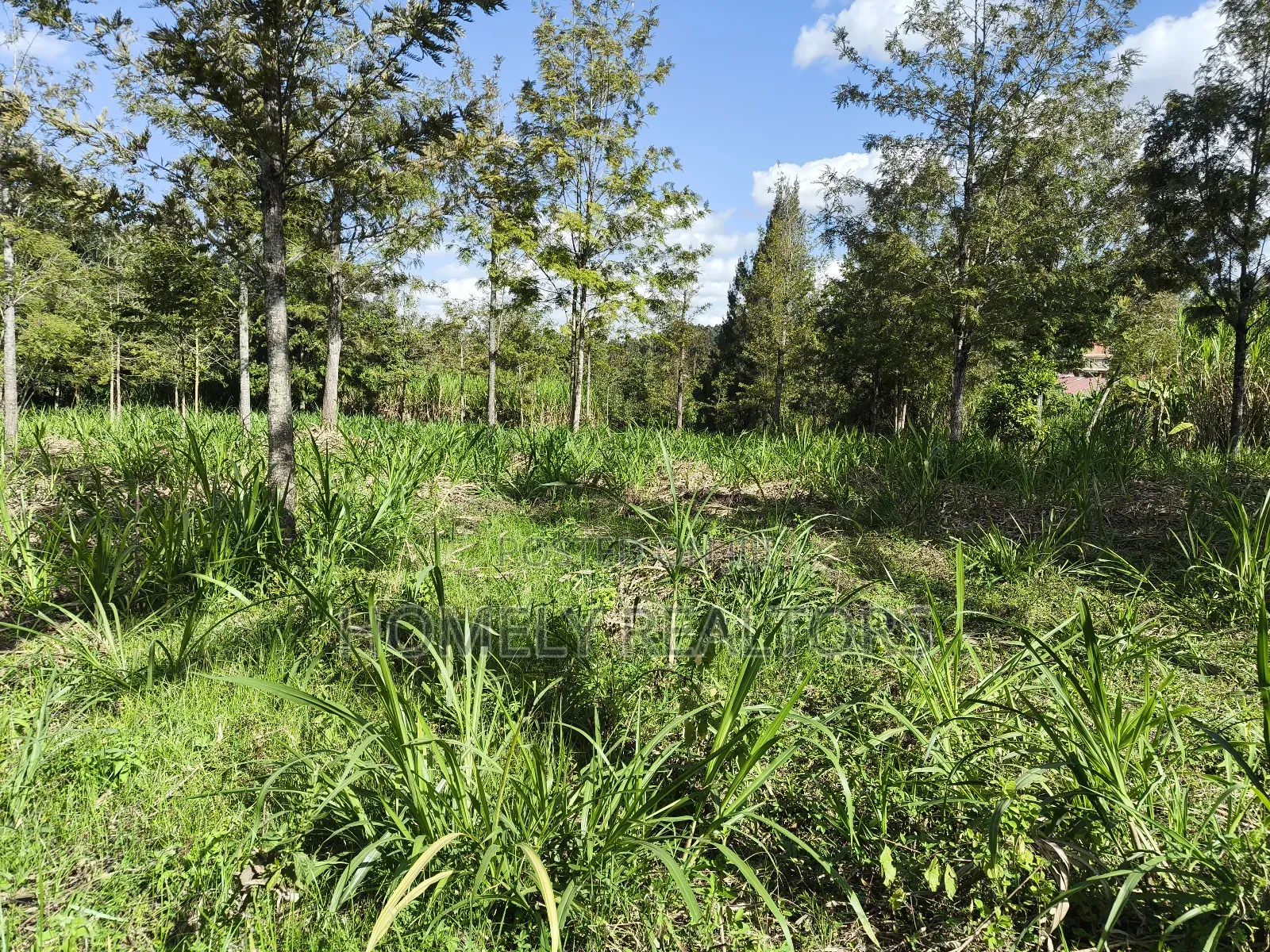Quarter Acre Plot in Ngong, Matasia 200 Meters From Tarmac