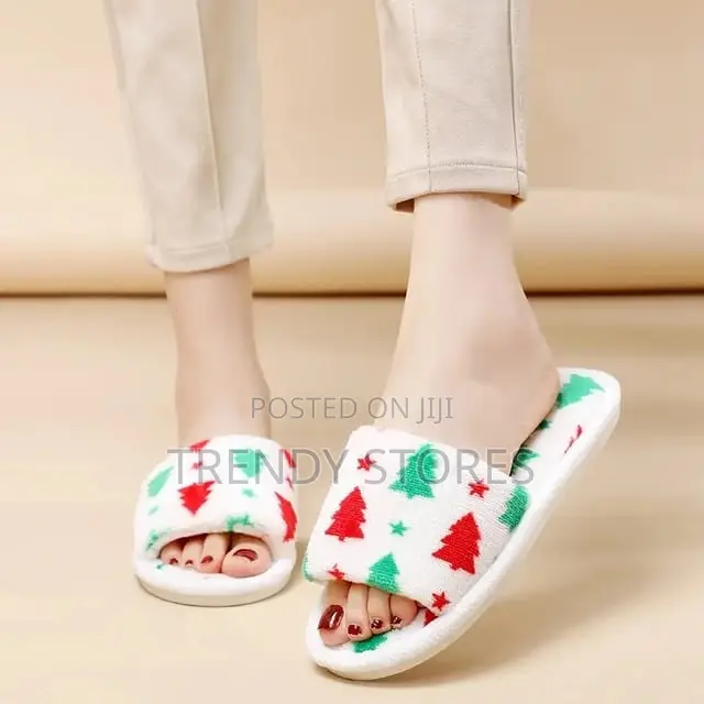Fuzzy Indoor Shoes