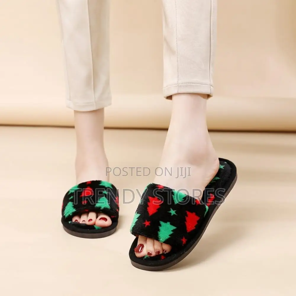 Fuzzy Indoor Shoes