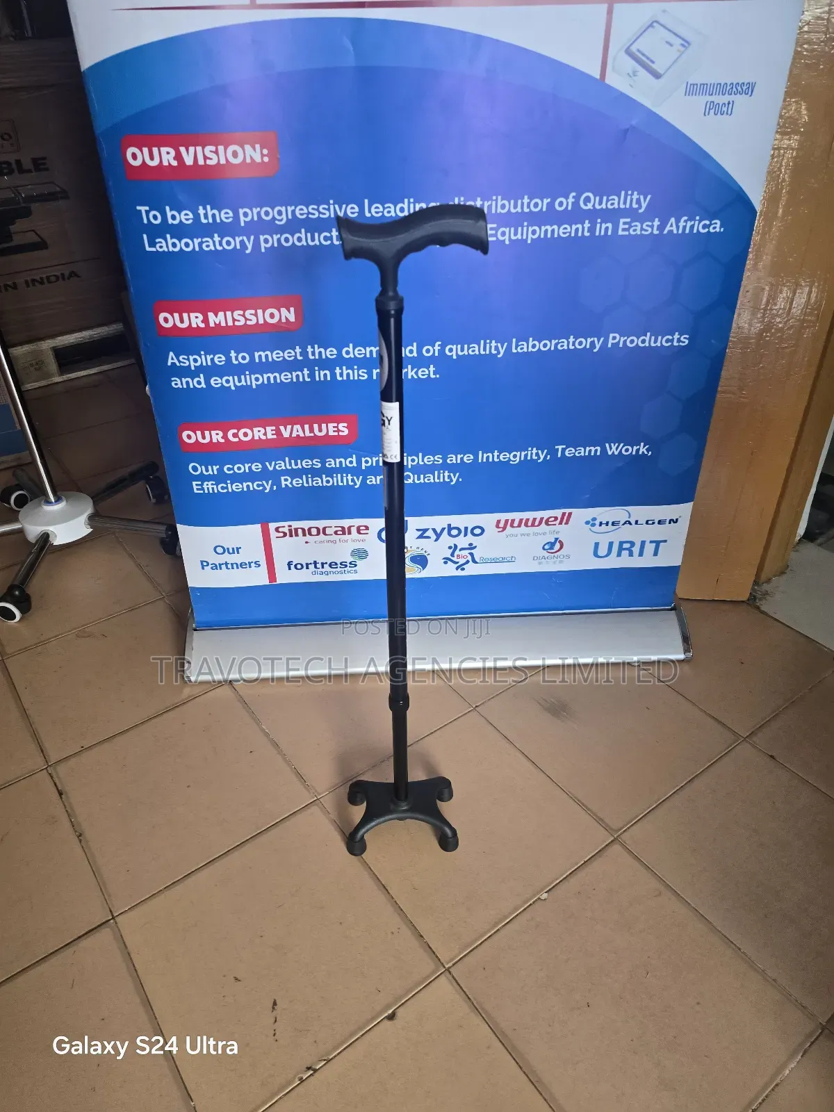 Quadruple Walking Sticks