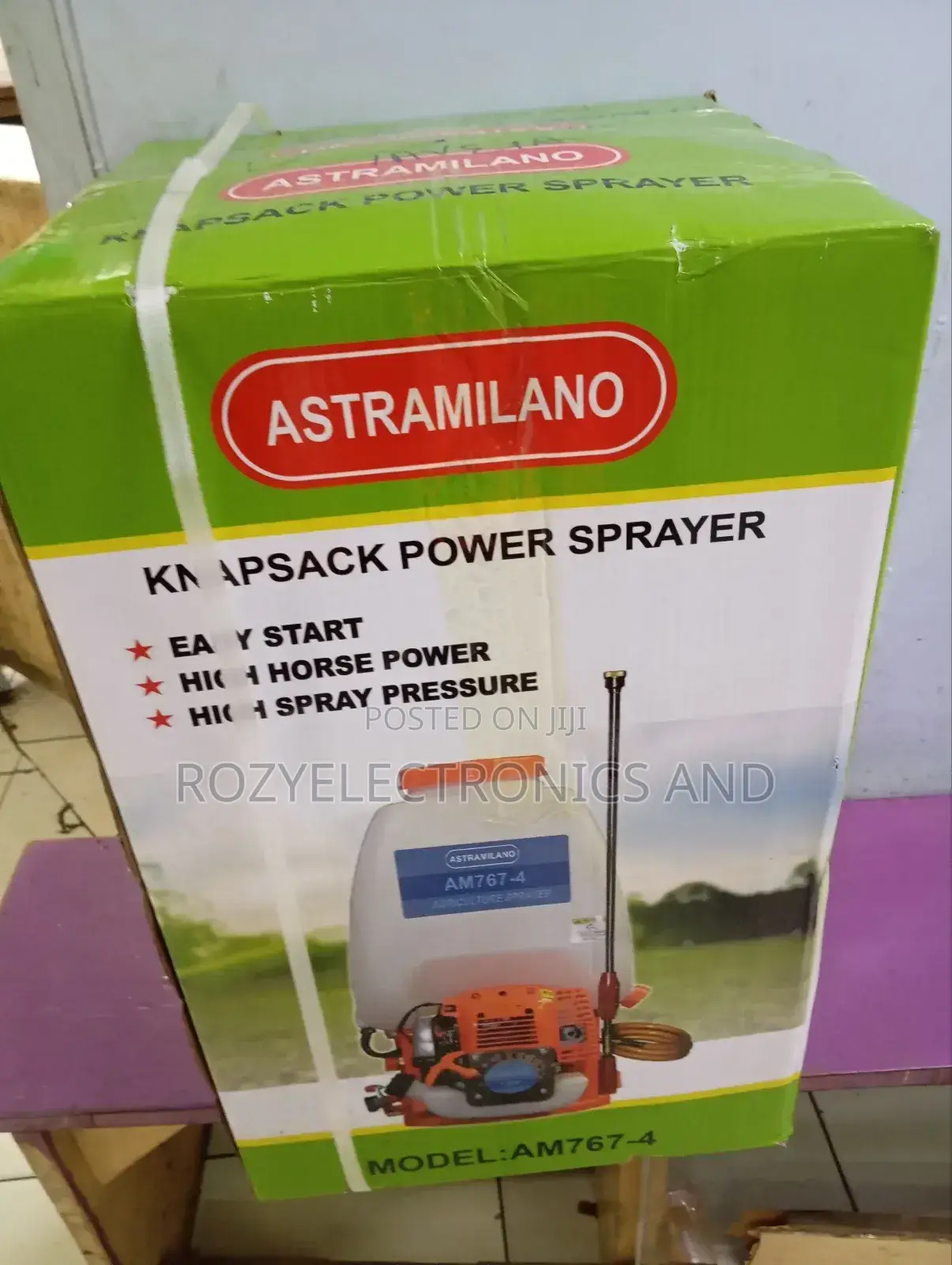 Gasoline Knapsack 4 Stroke Sprayer