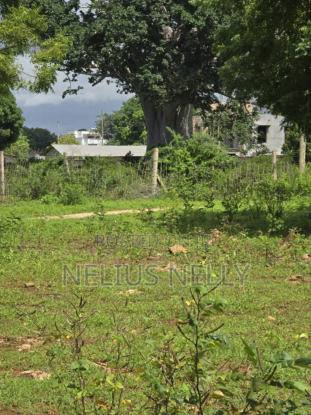 Bofa Plots Kilifi Walking Distance From Highway