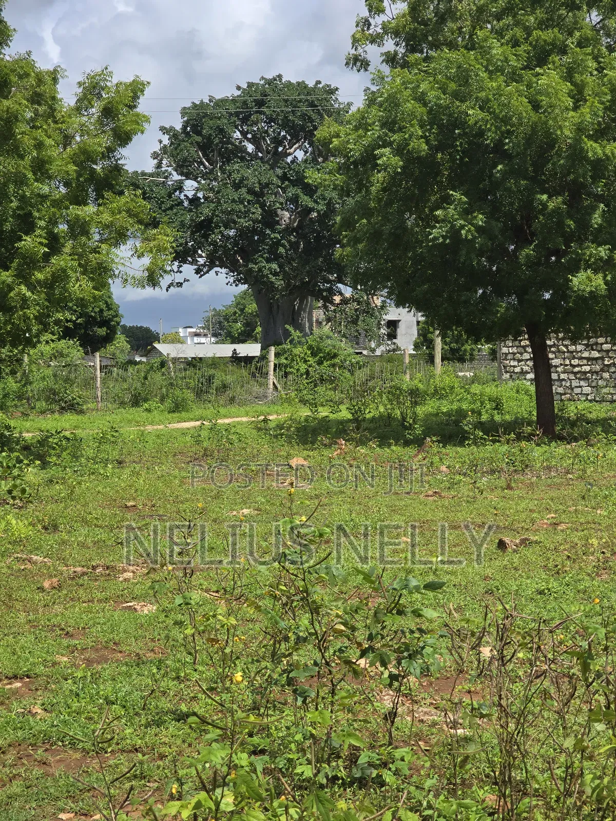 Bofa Plots Kilifi Walking Distance From Highway