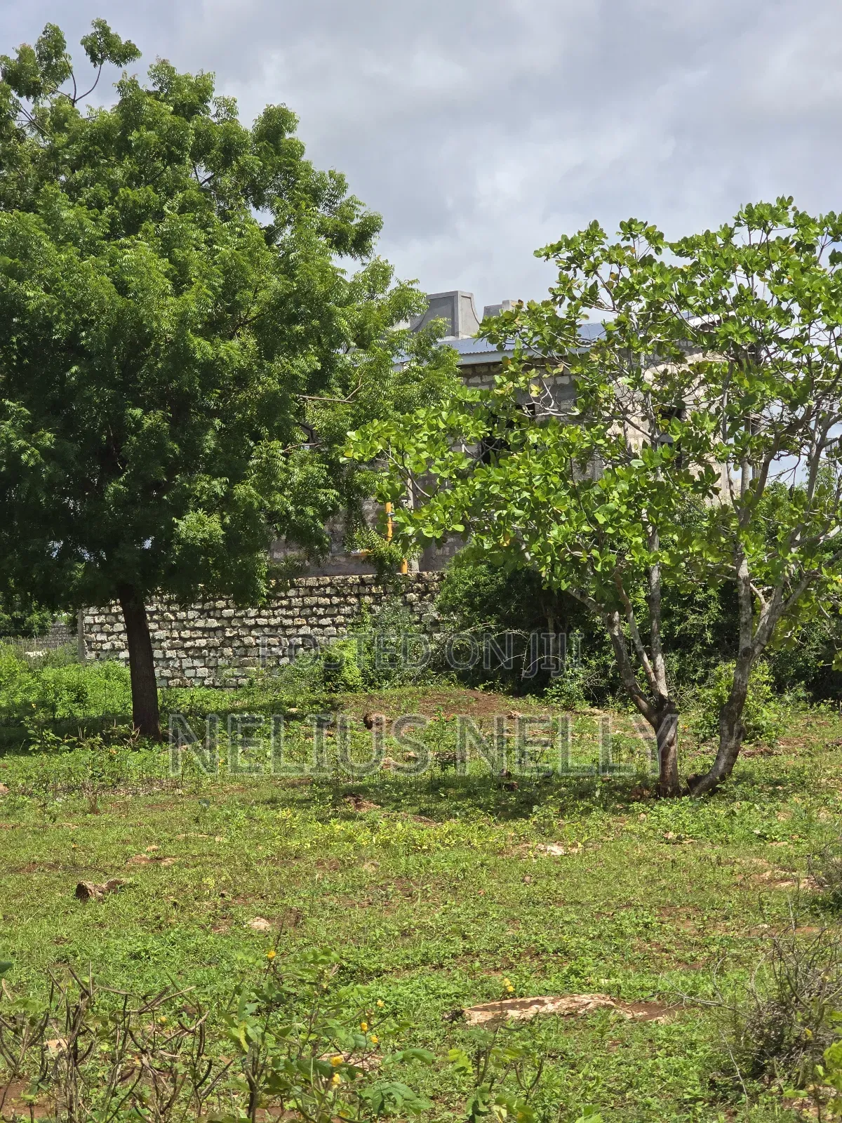 Bofa Plots Kilifi Walking Distance From Highway