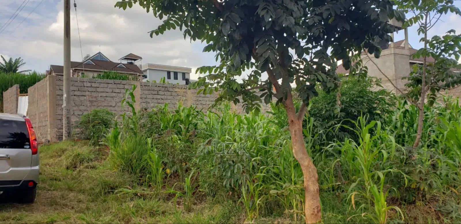 50x100 Residential Plots in Mugutha