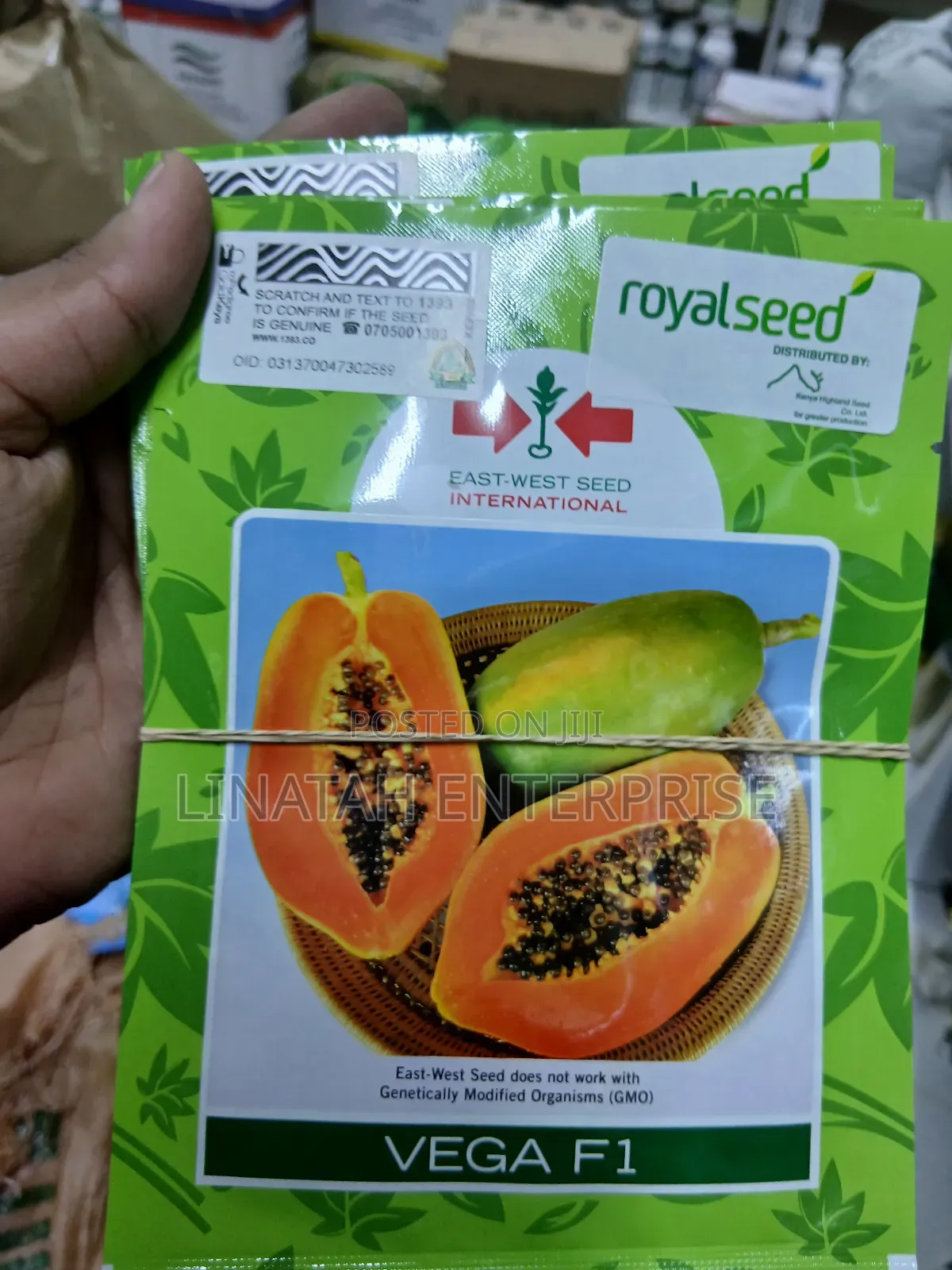 Vega F1 Pawpaw Seeds