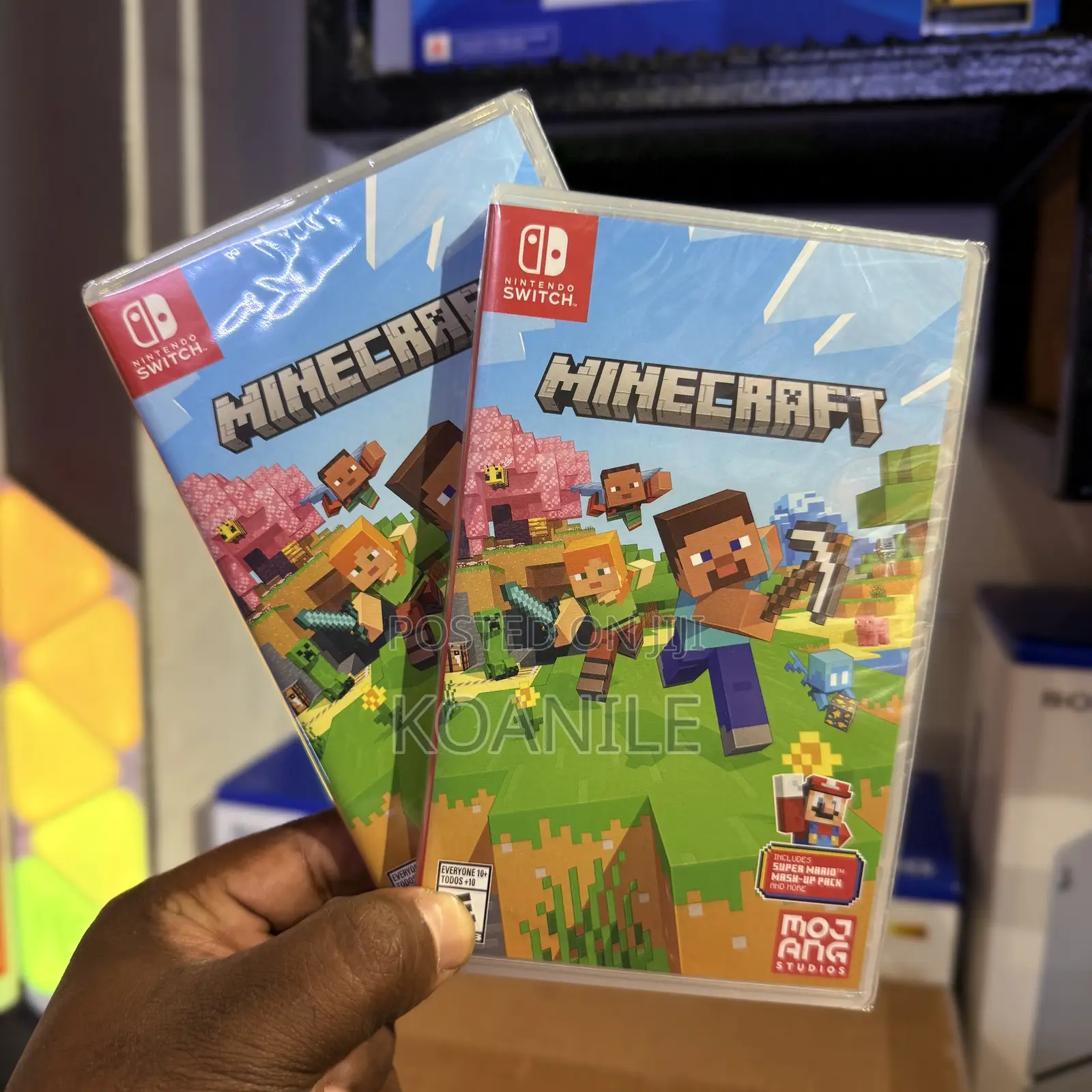 Nintendo Switch Minecraft (With Super Mario Mash-Up)