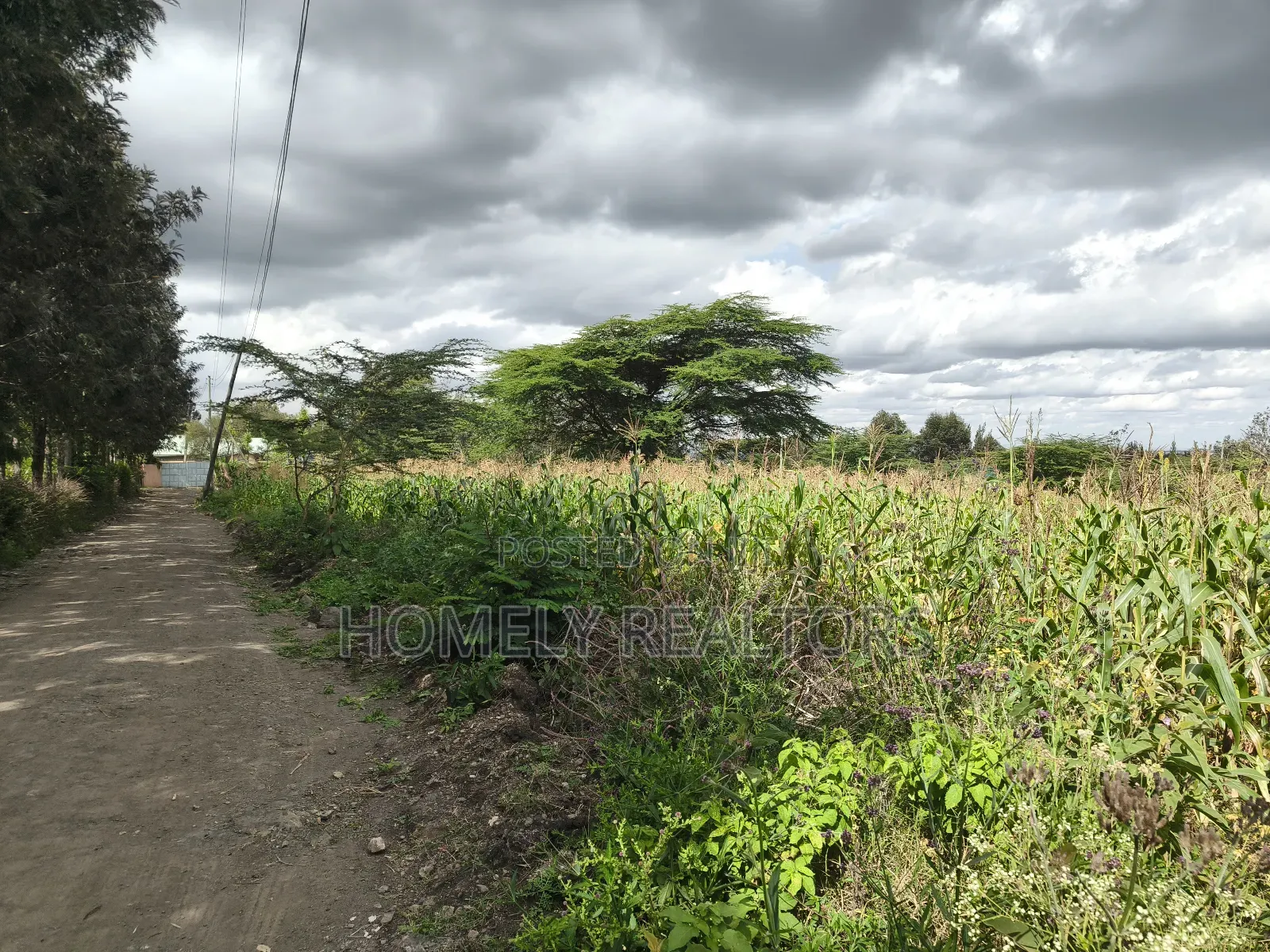 Eighth Acre Plot in Ngong, Matasia, Merisho Road Near Tarmac