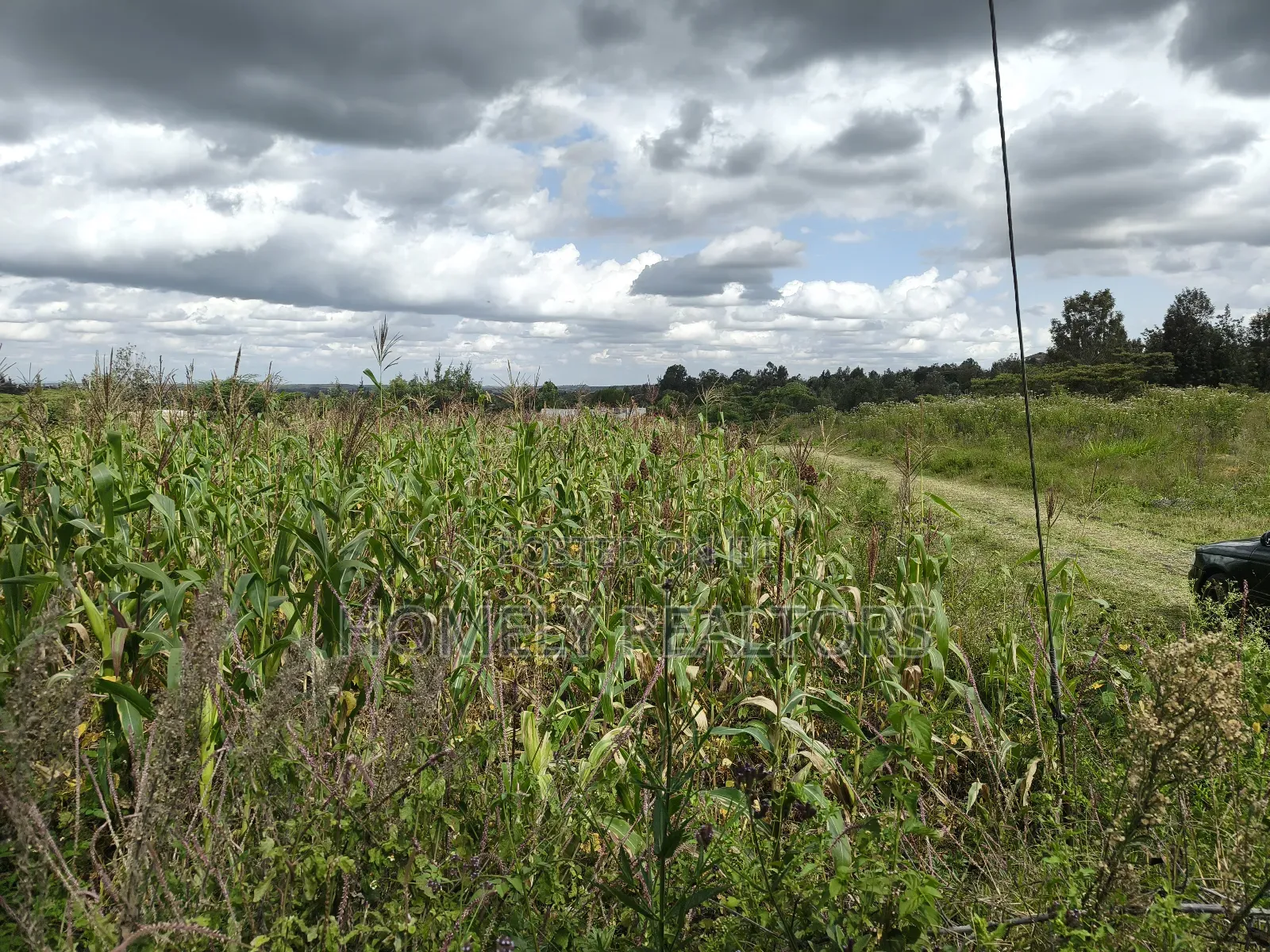 Eighth Acre Plot in Ngong, Matasia, Merisho Road Near Tarmac