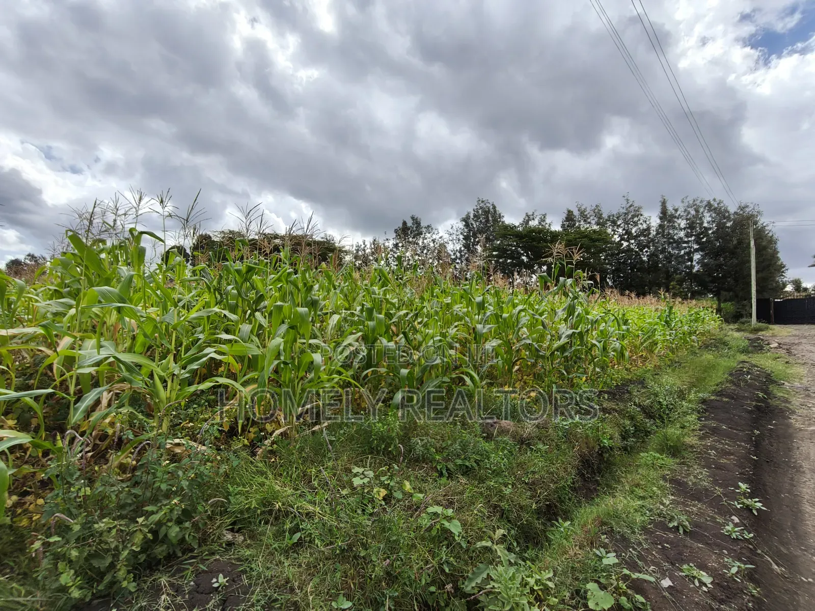 Eighth Acre Plot in Ngong, Matasia, Merisho Road Near Tarmac