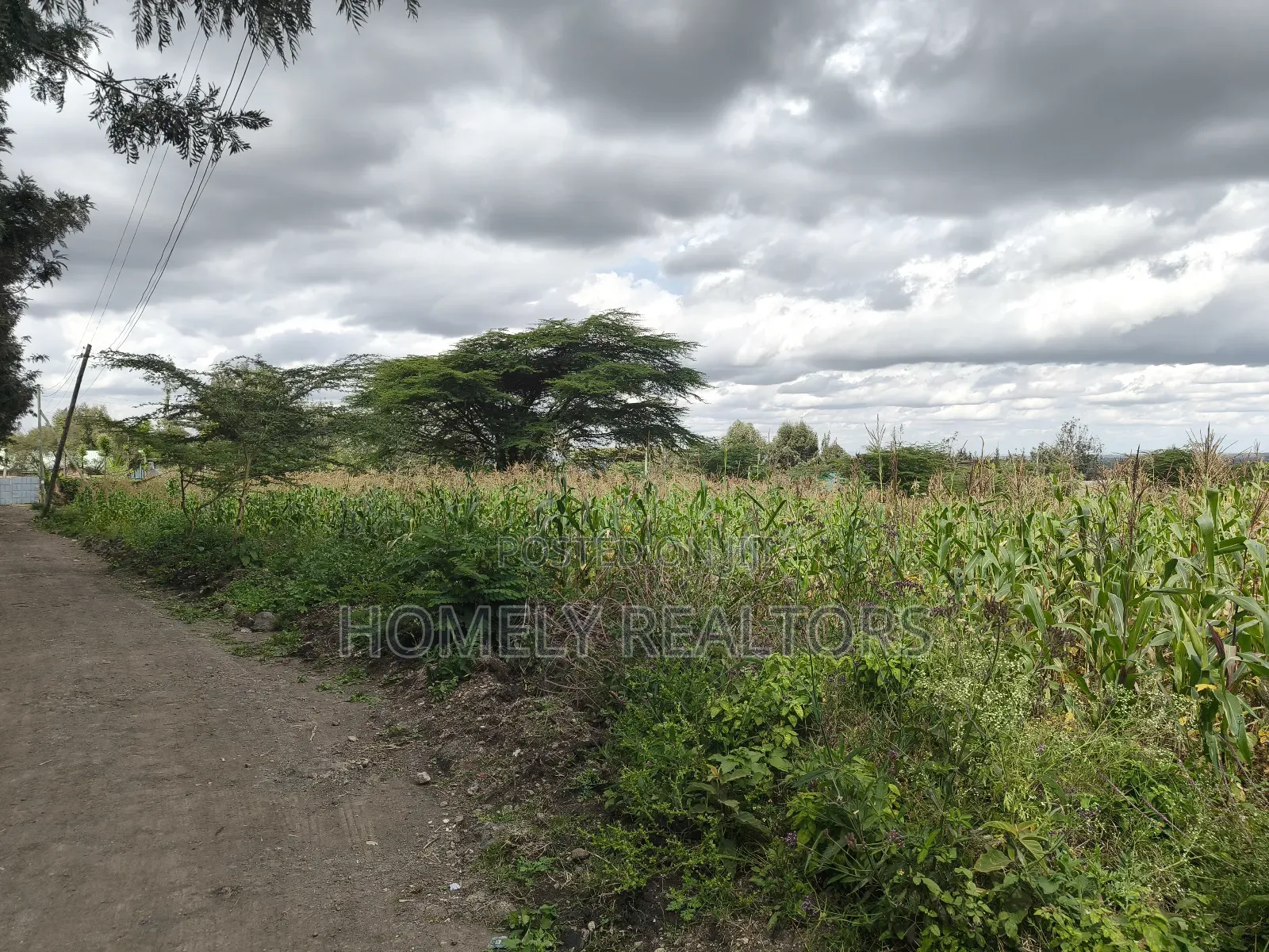 Eighth Acre Plot in Ngong, Matasia, Merisho Road Near Tarmac