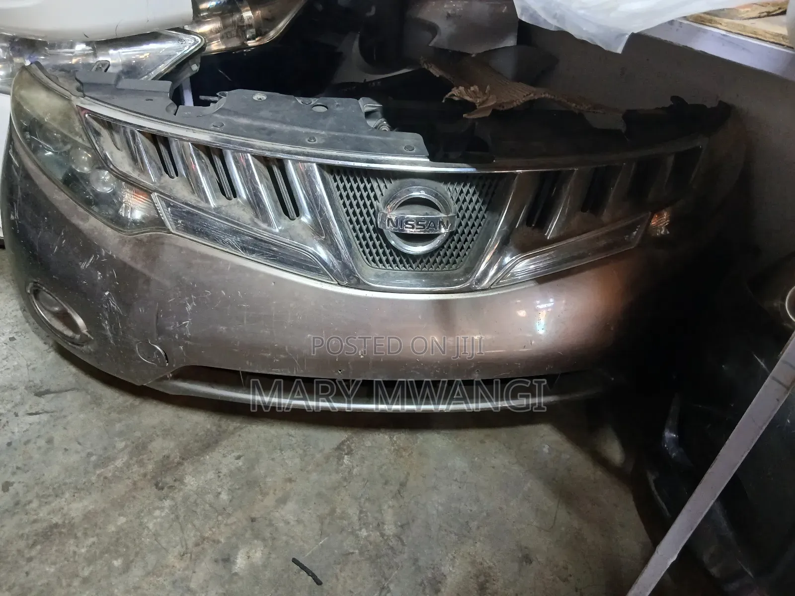 Nissan Murano 2005 Nosecut