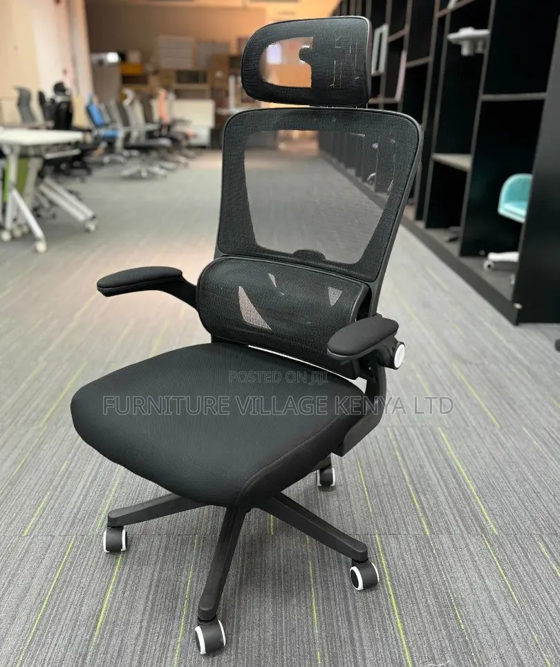 Office Chair: Orthopedic Lumber Fabric Executive Chair