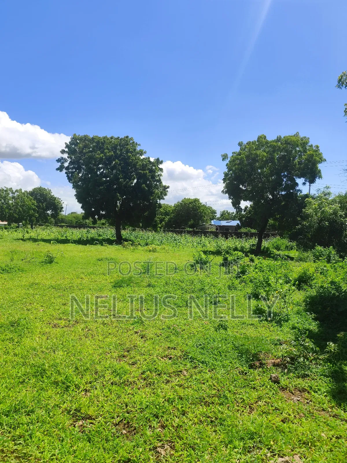 3acres 2nd Row Beach Plots Kilifi Bofa