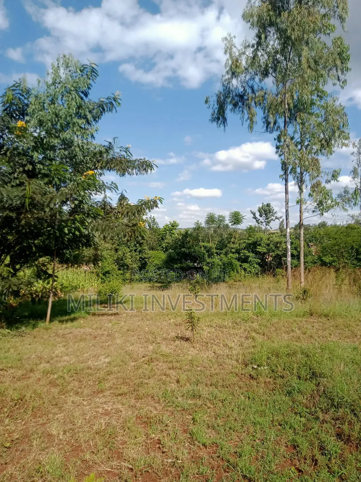Quarter an Acre on Sale at a Kenol-Karugia