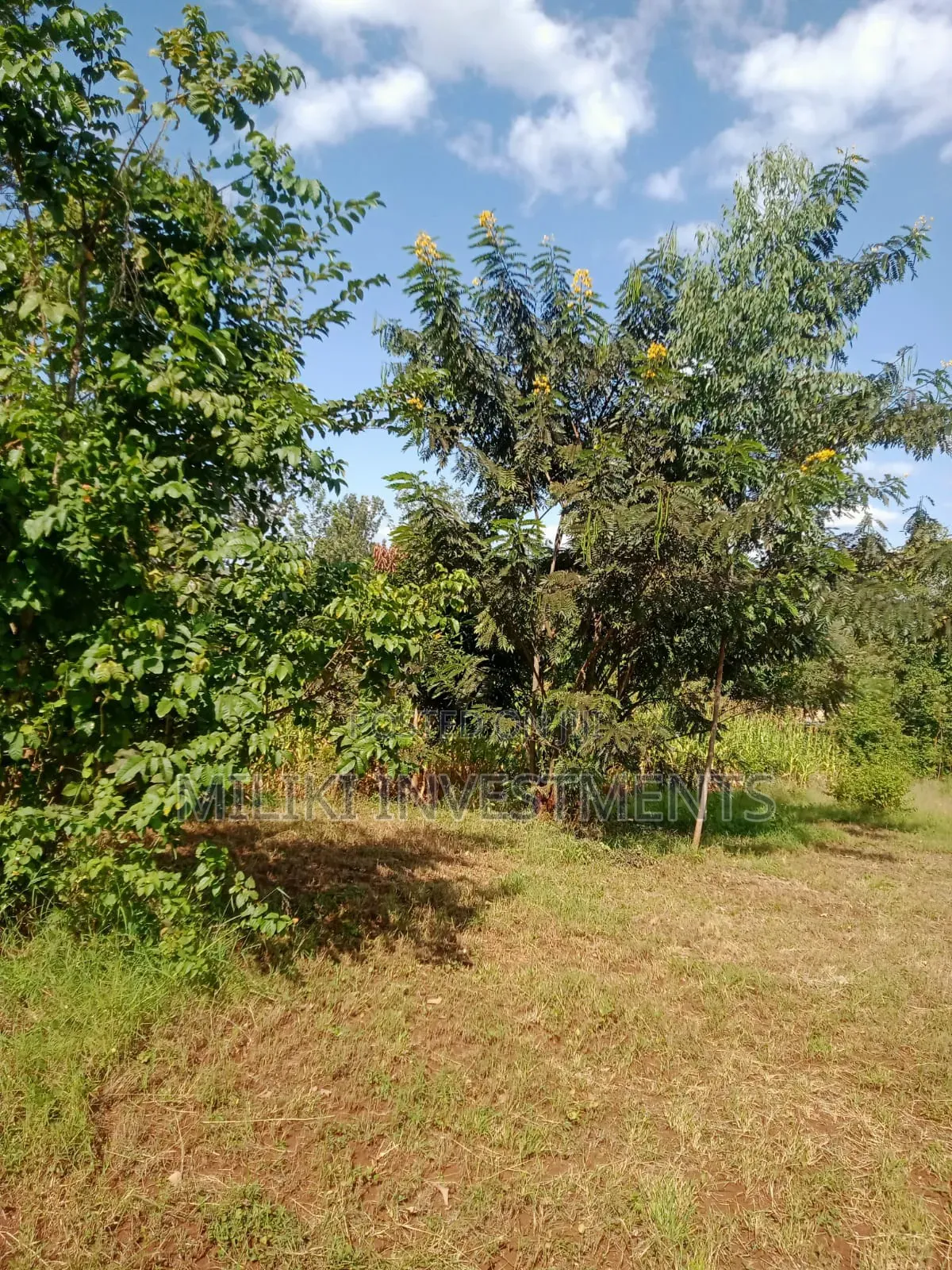 Quarter an Acre on Sale at a Kenol-Karugia