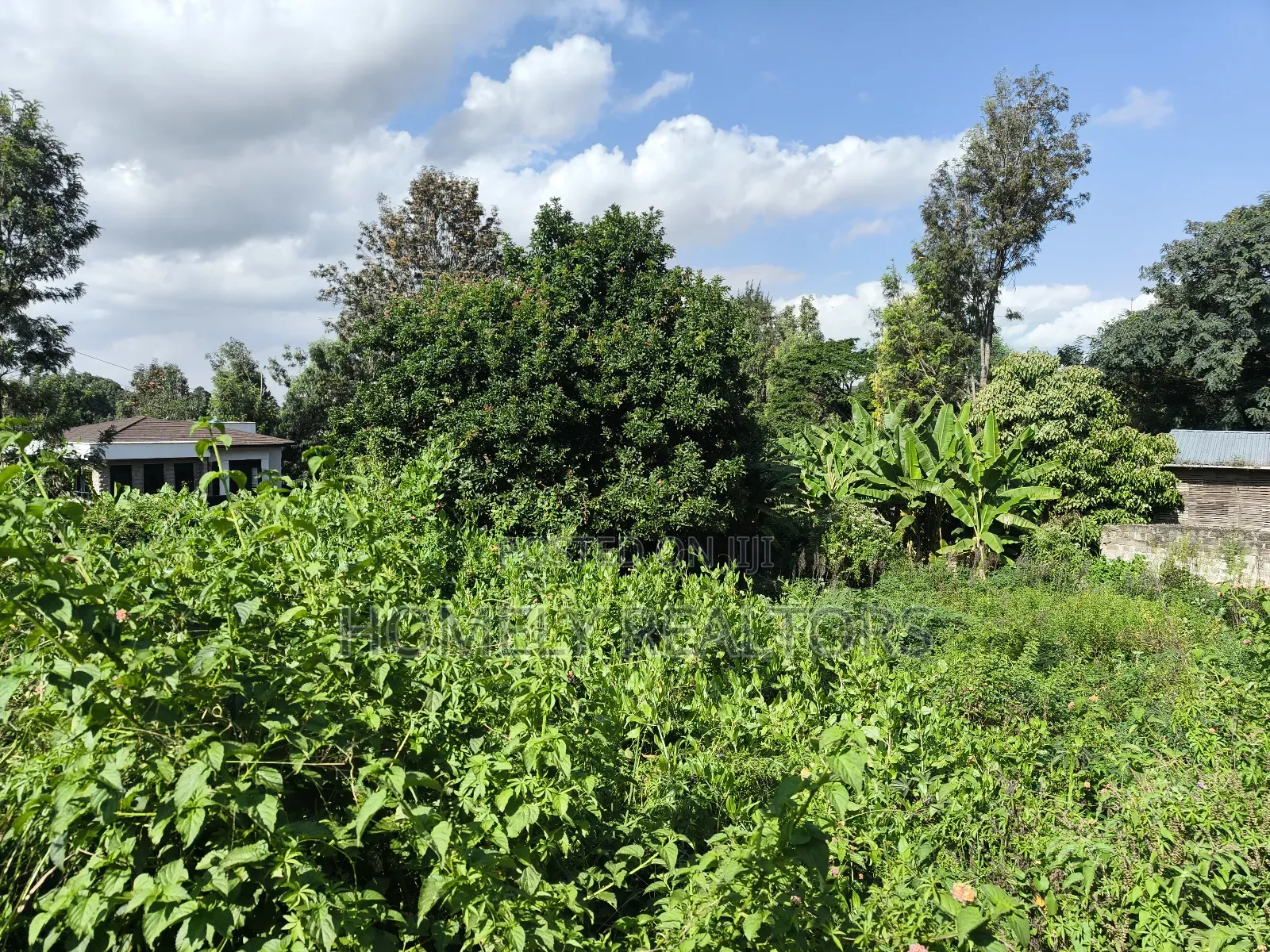 Quarter Acre Plot in Ngong Along Kerarapon Drive Near Tarmac