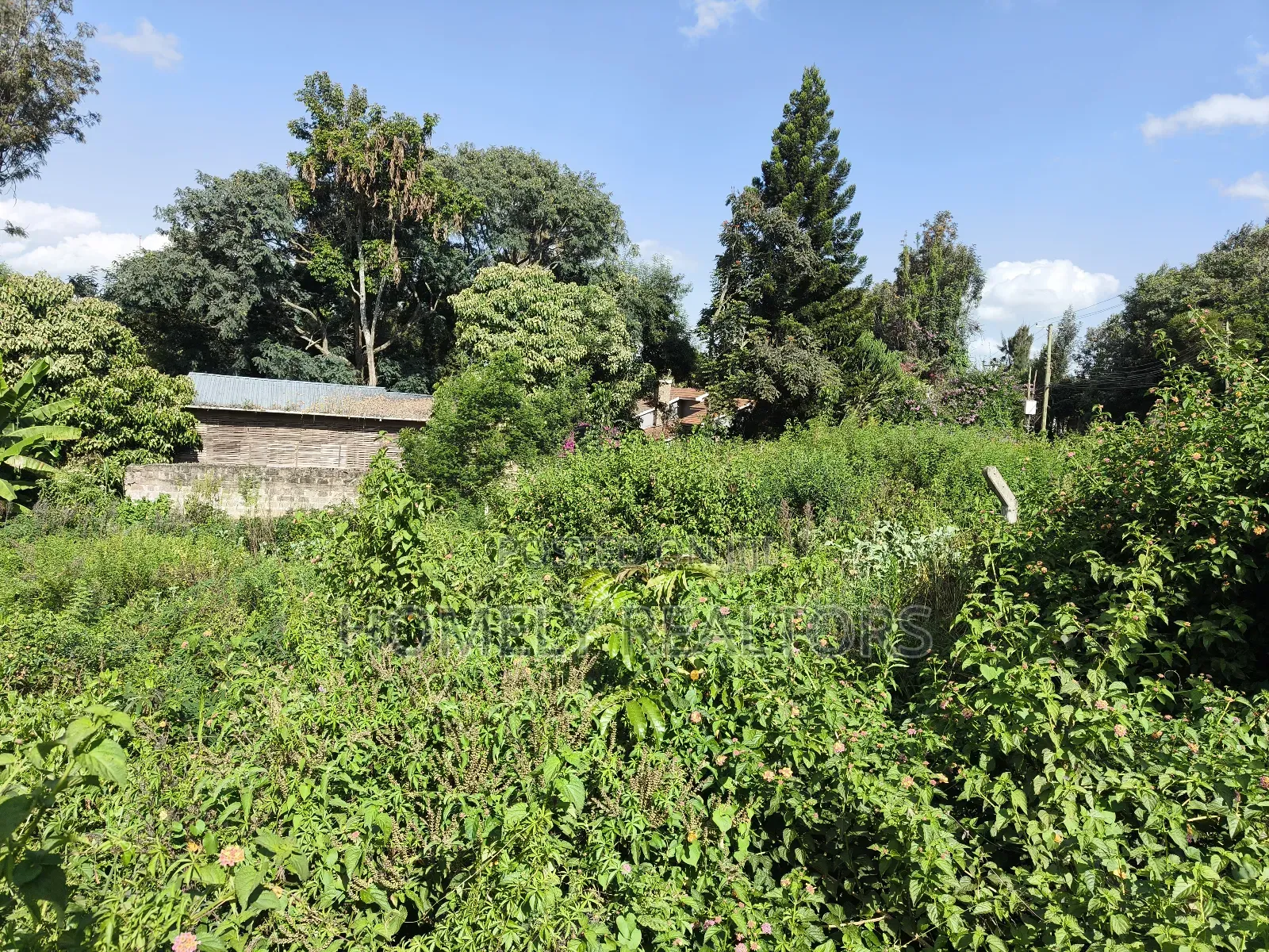 Quarter Acre Plot in Ngong Along Kerarapon Drive Near Tarmac