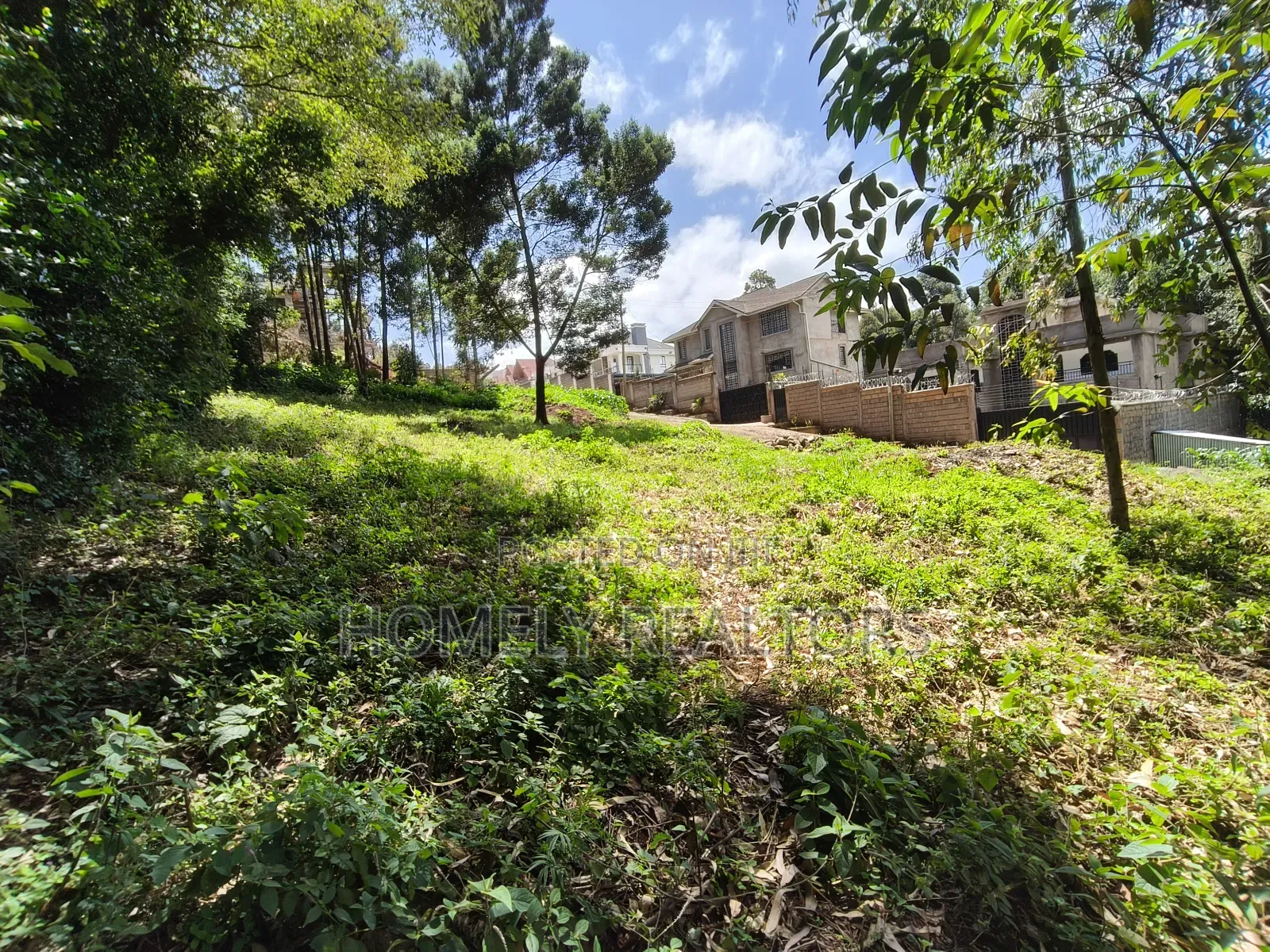 Quarter Acre Plot in Ngong Along Lemiso Road Near Tarmac