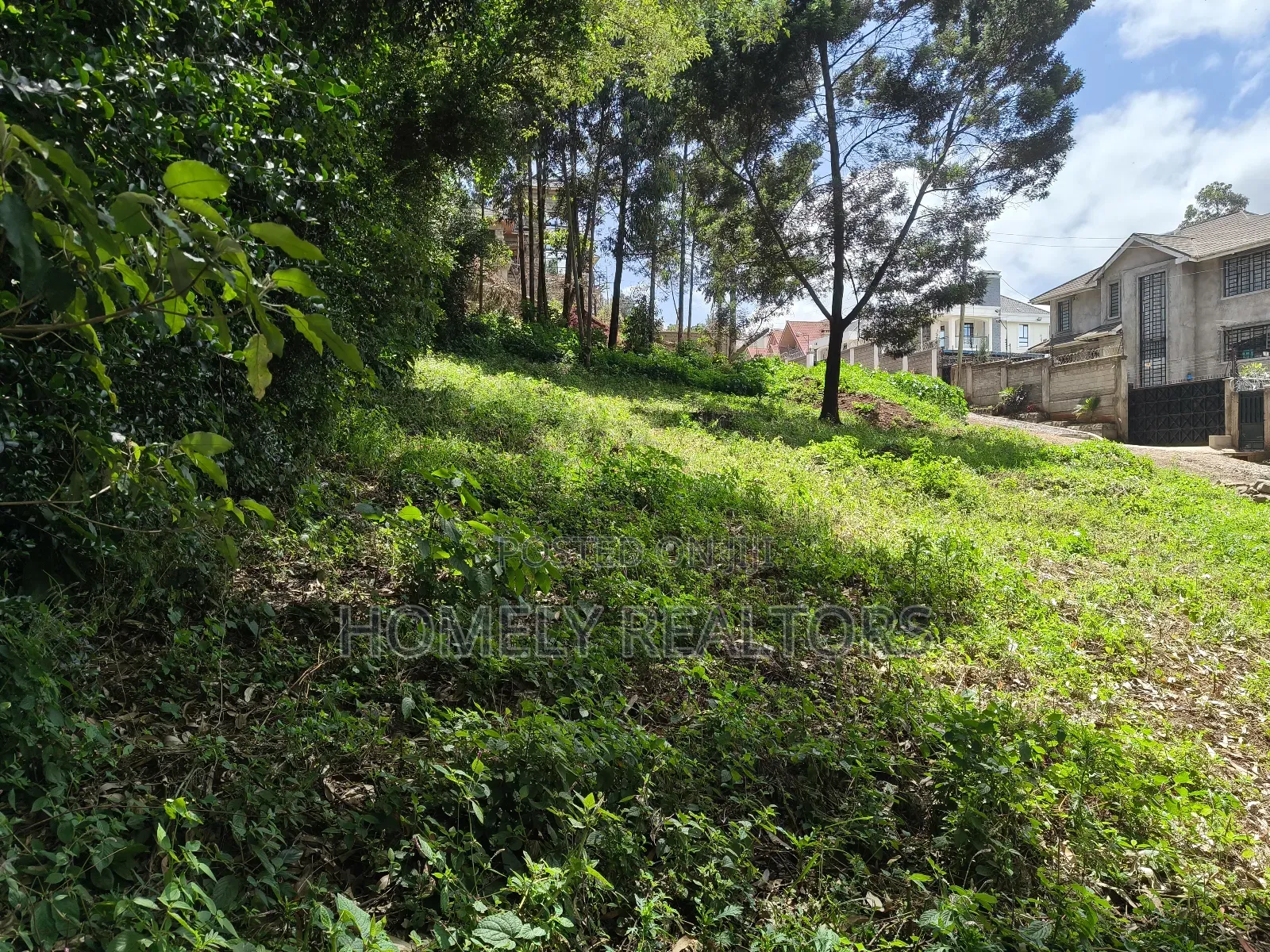 Quarter Acre Plot in Ngong Along Lemiso Road Near Tarmac