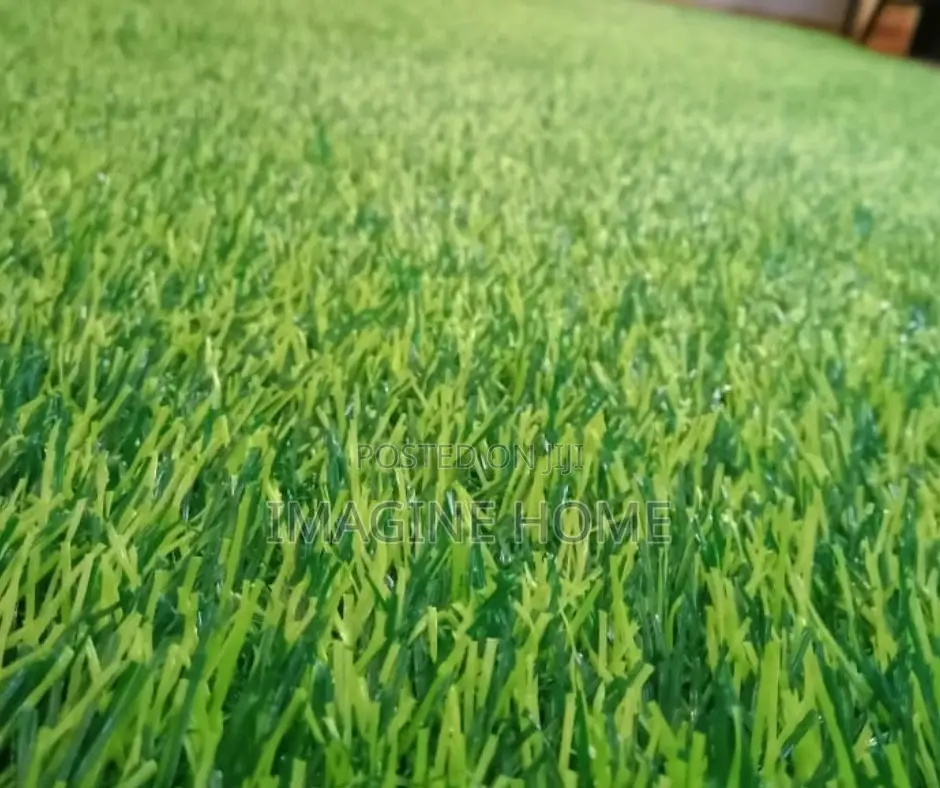Low Maintenance Artificial Grass Carpet Now Available