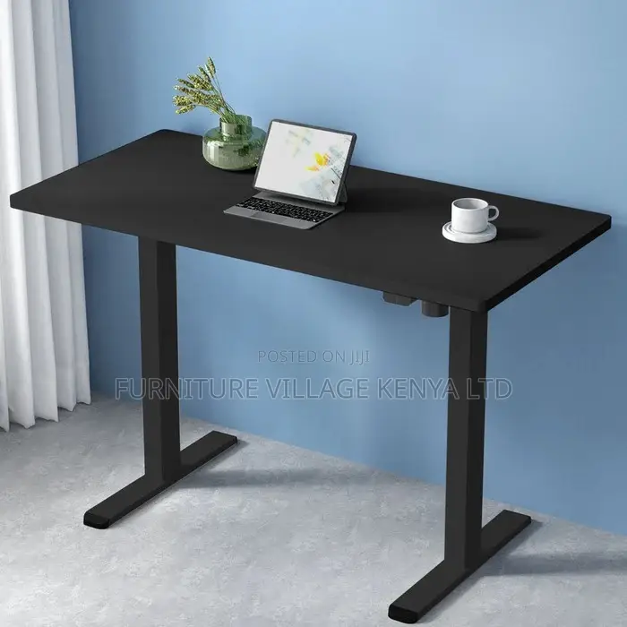Office Desk:120cm Motorised Sit Stand Electric Desks Table