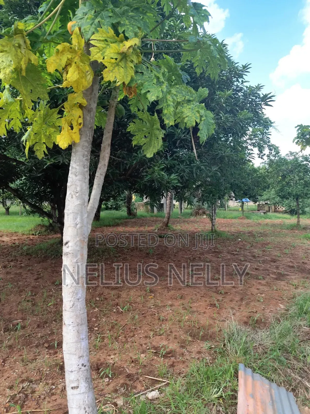 2acres Bofa Kilifi