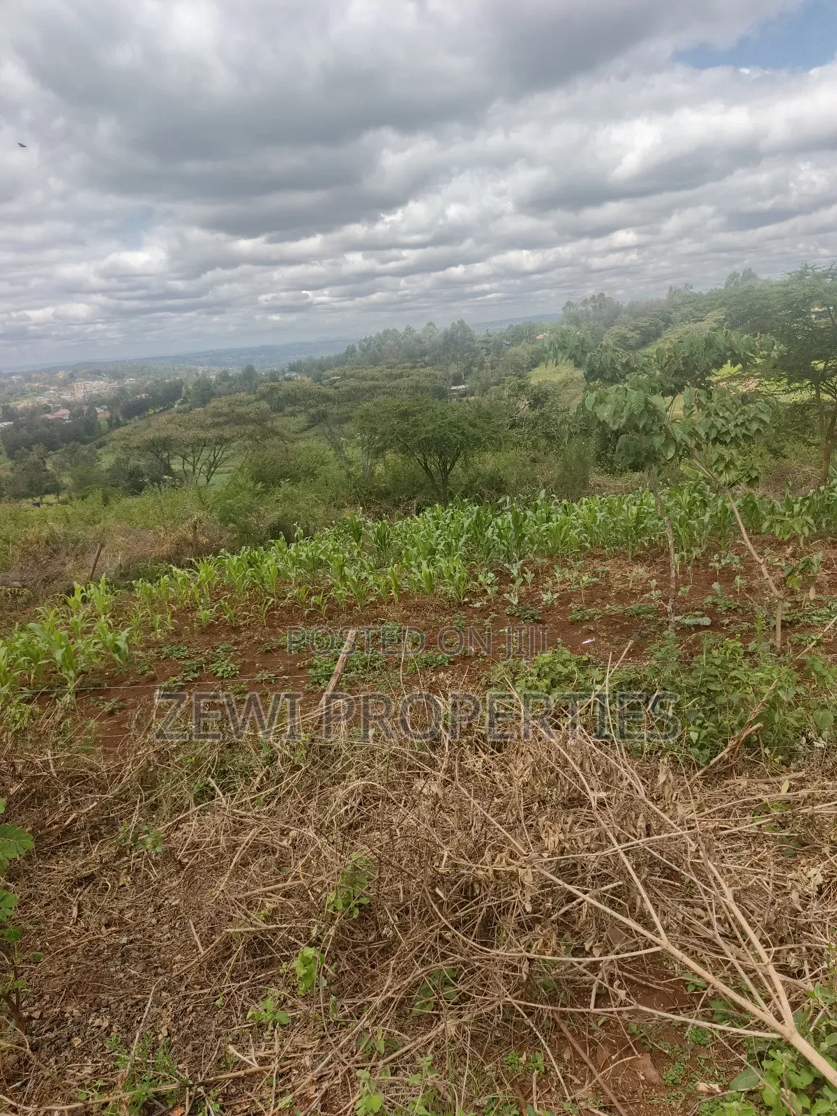 1/8 Acre Olesurutia