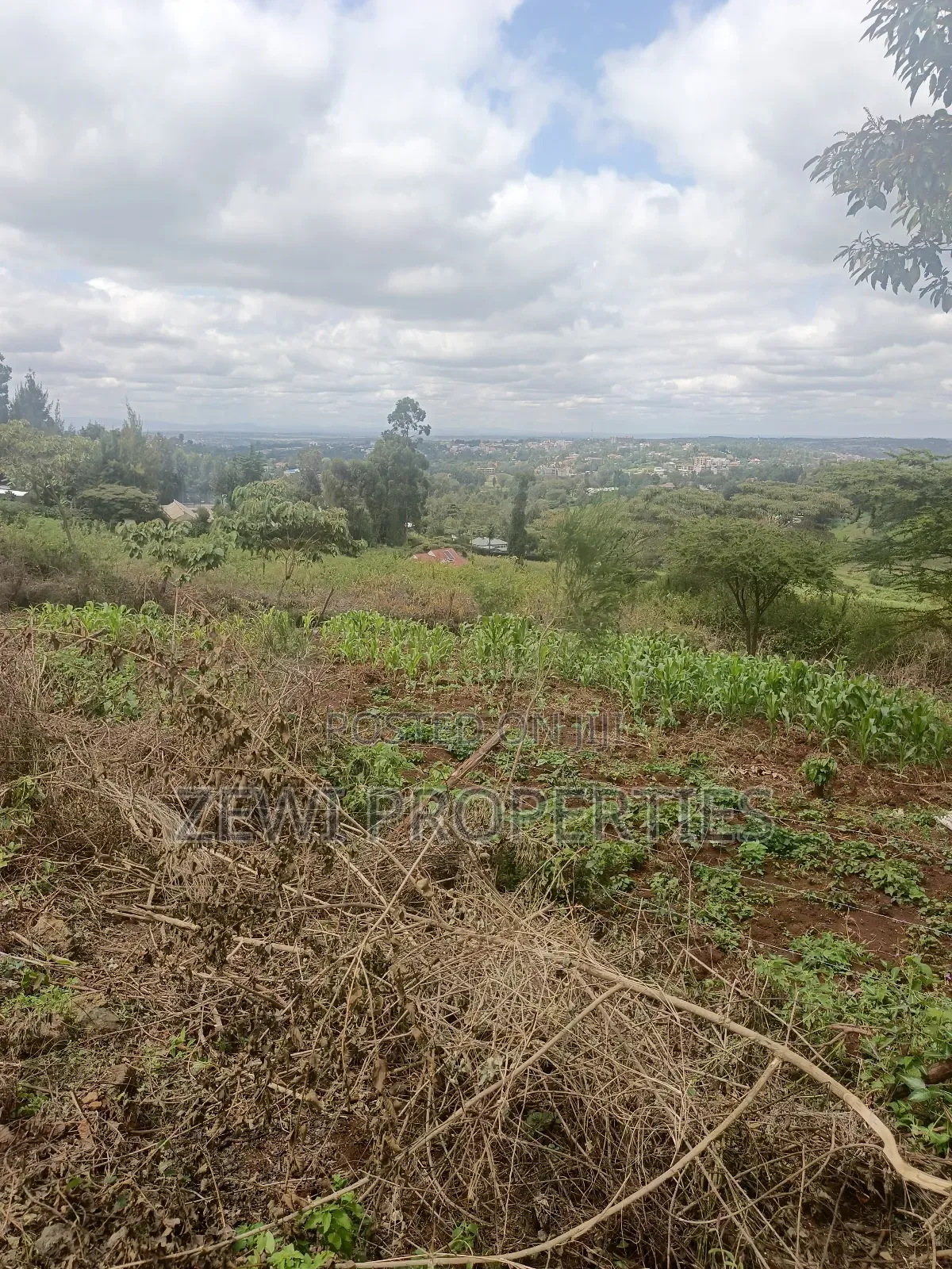 1/8 Acre Olesurutia