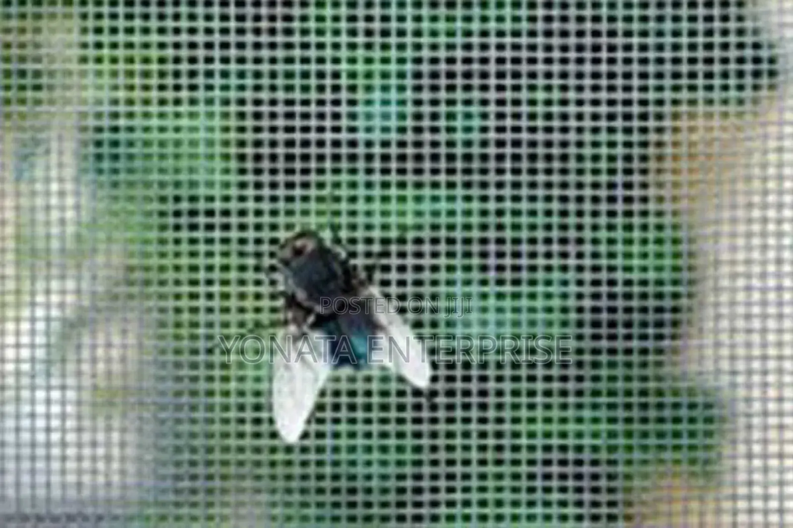 Insect Mesh (3m*50m)
