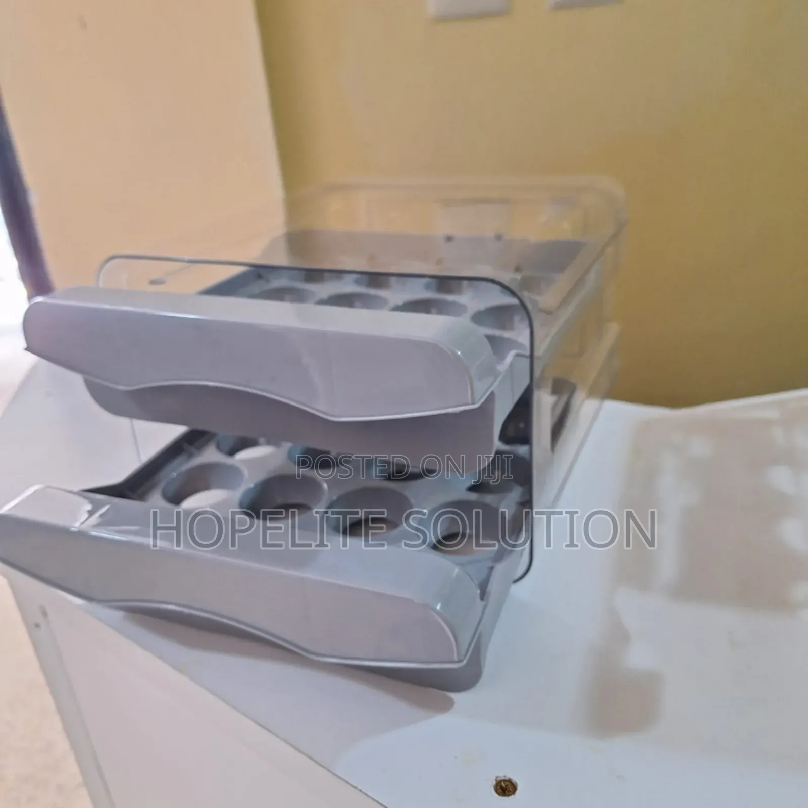 32 Eggs Storage Box