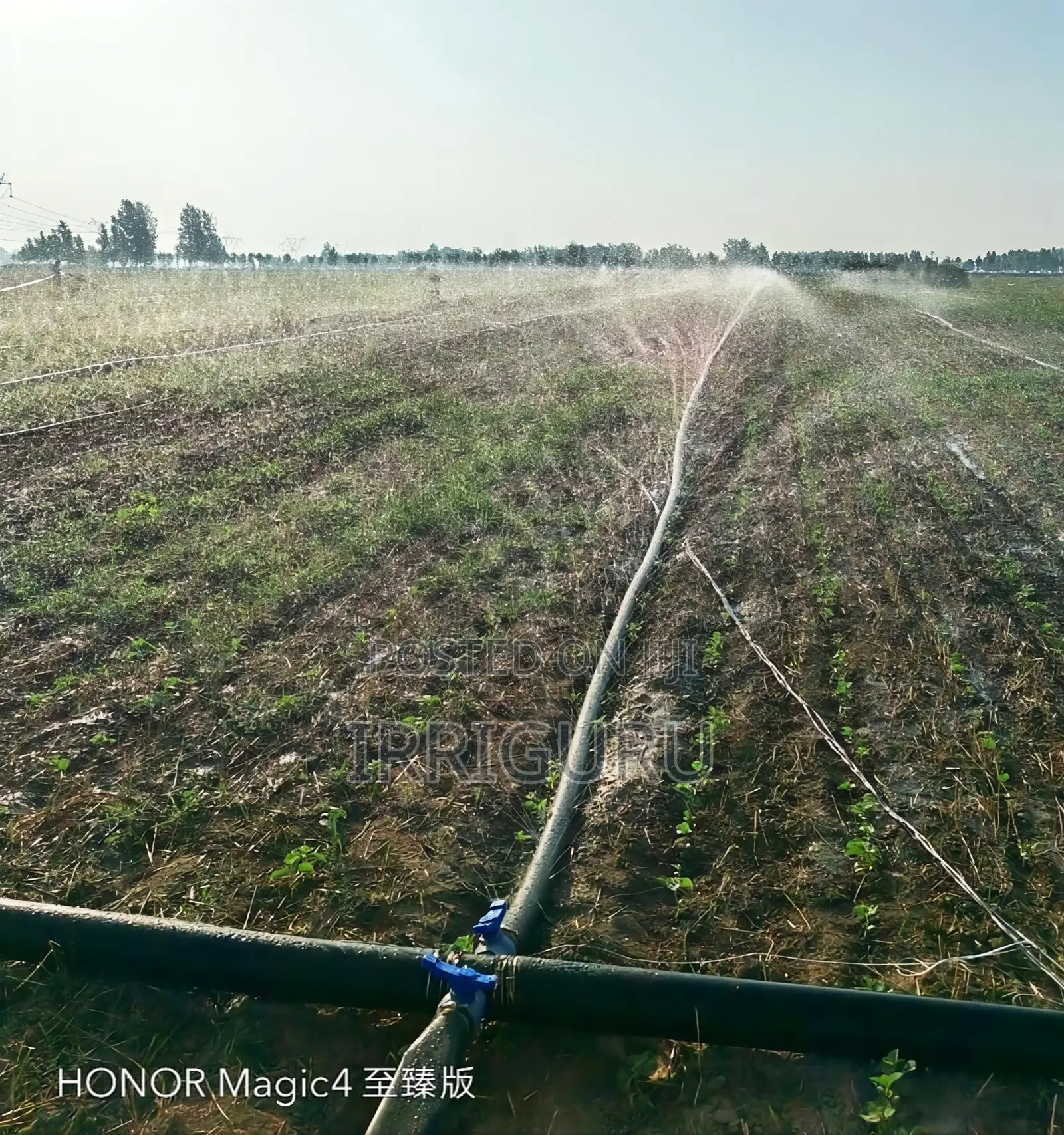 Irrigate the Rain Belt. Sprinkle Water on the Corn Field.