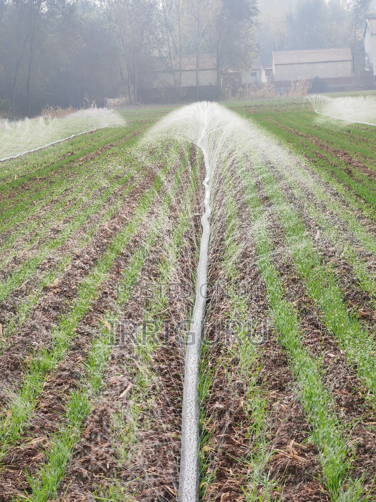 Rainhoseblack Irrigation Soft Zone