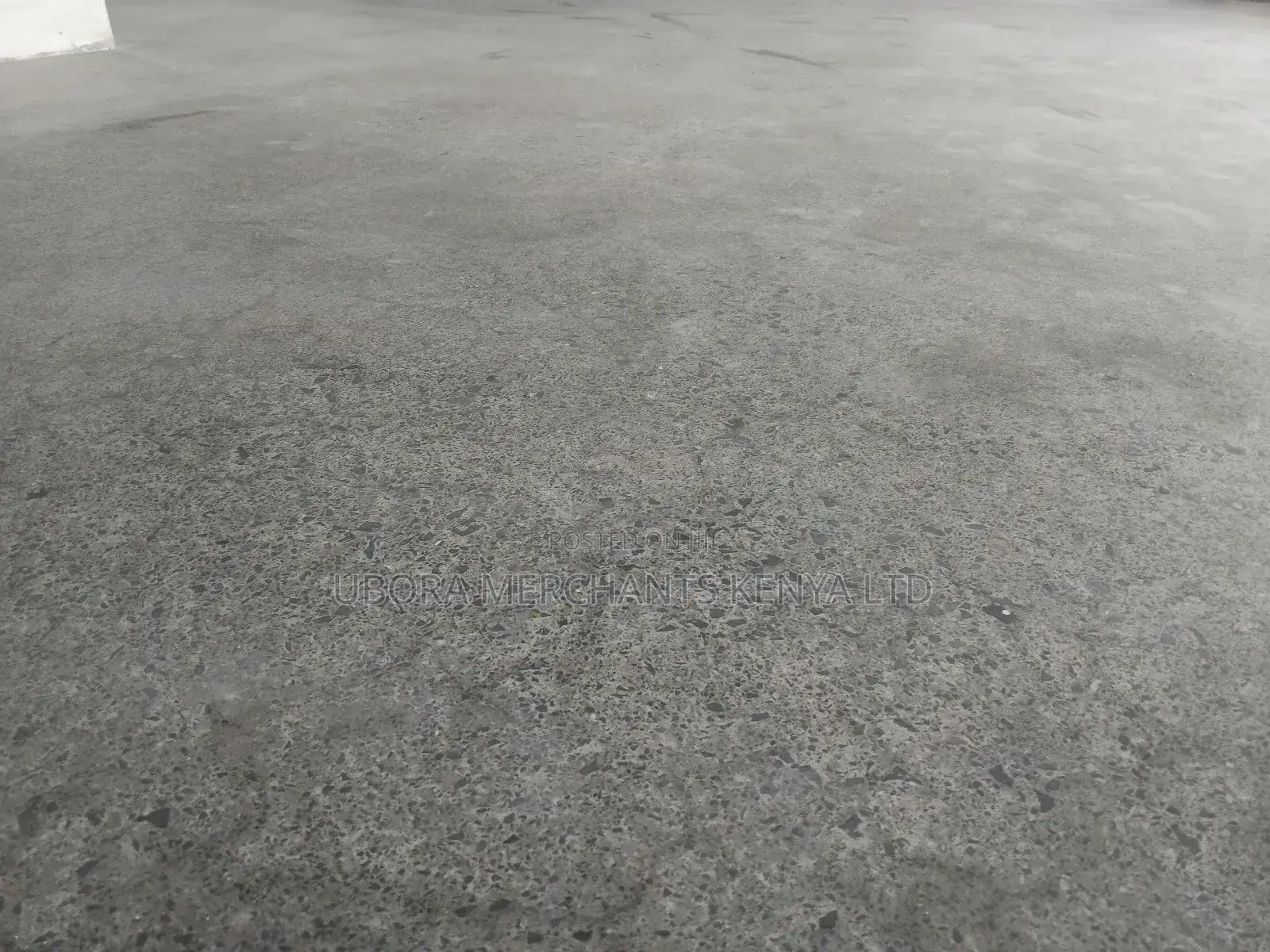 Concrete Grind and Polish