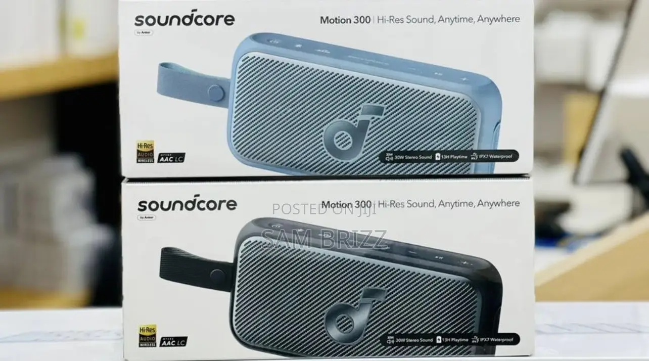Soundcore Motion 300 Speaker