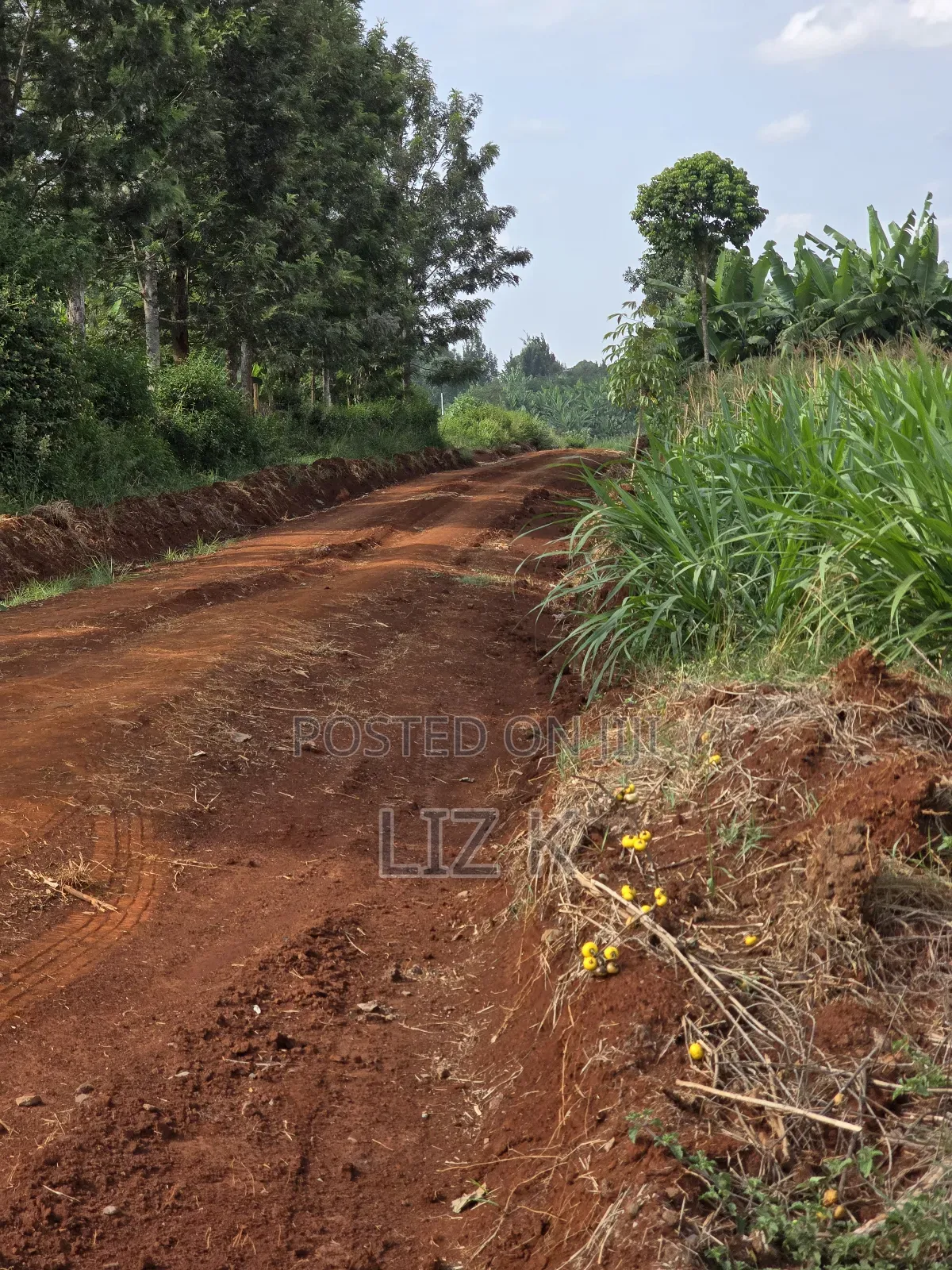 Westwood (Karangaita) 1/2 Acre