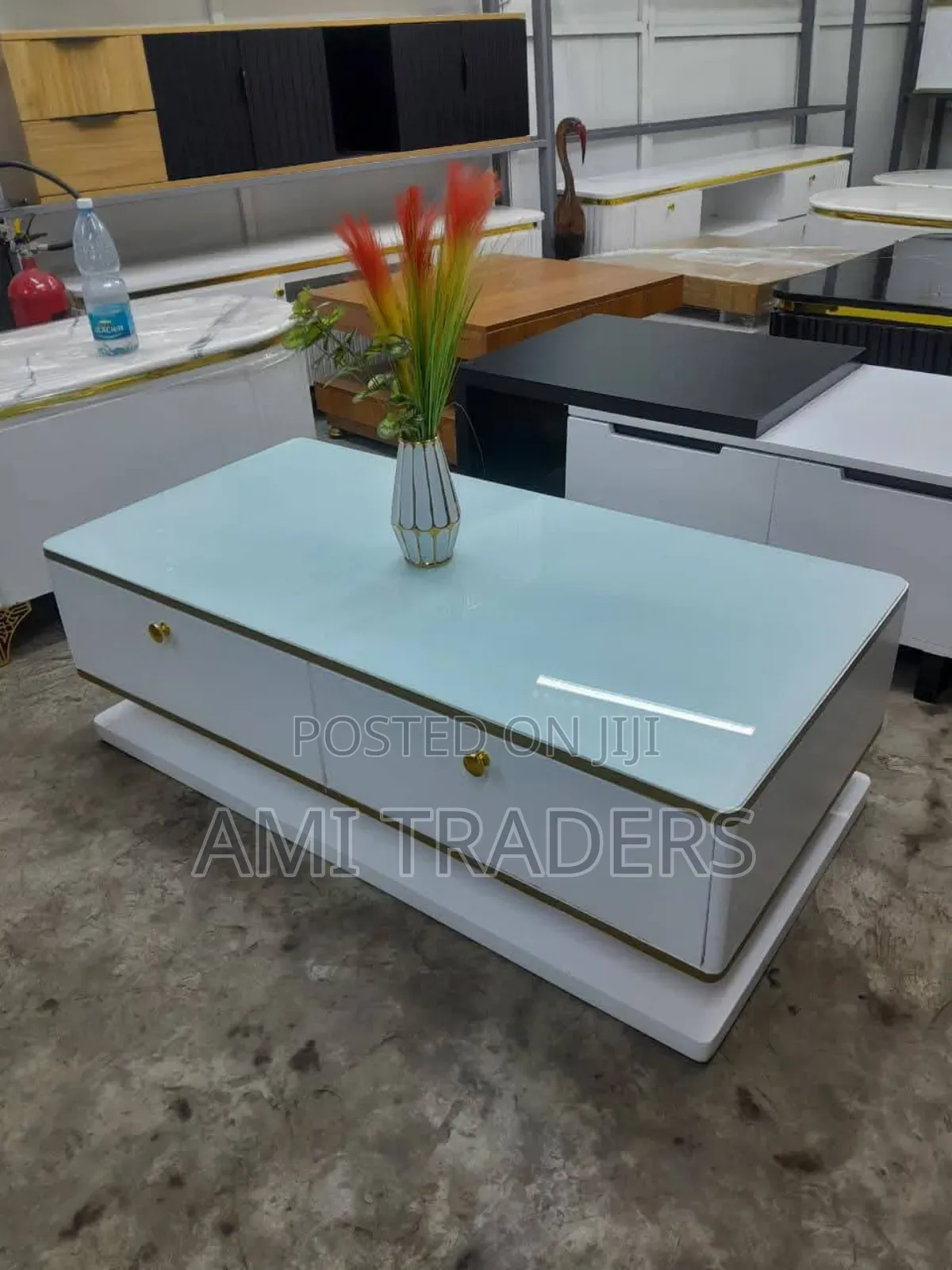 Designer Coffee Table (White)