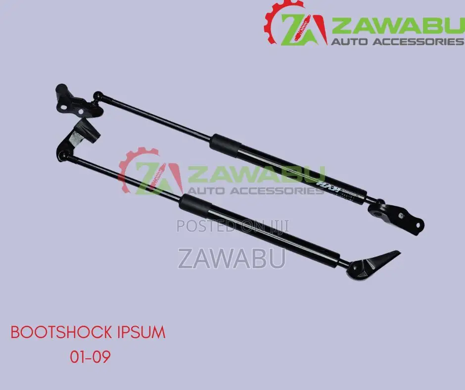 Bootshock Ipsum New 01-09 Pair