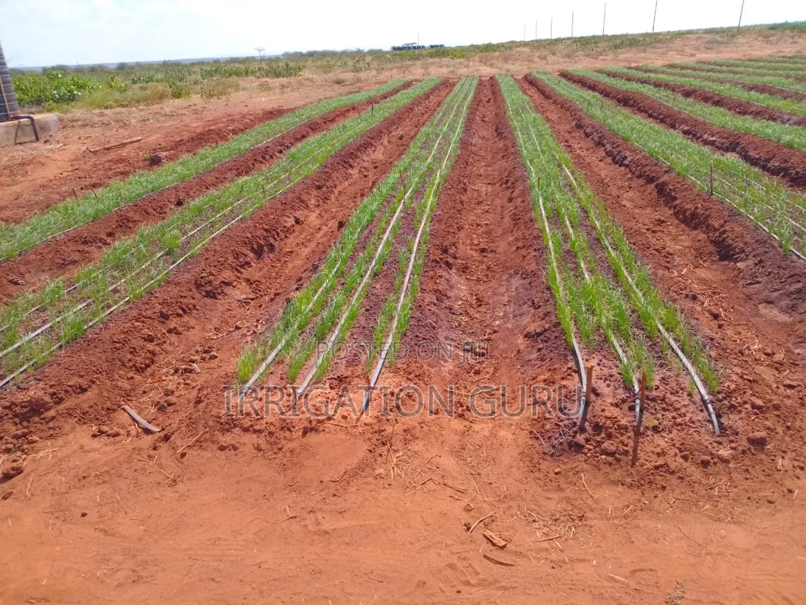 Driplines 0.4mm 0.3mm, 1000m