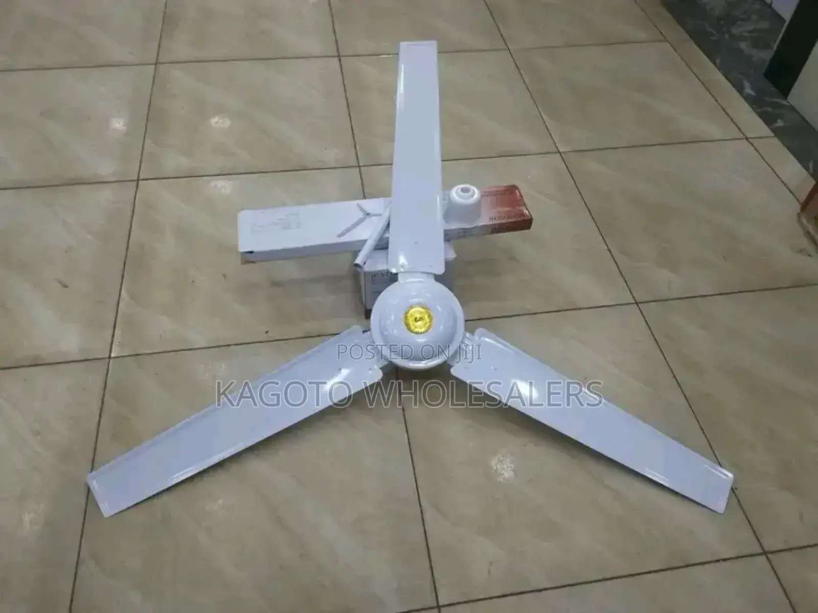 New Arrivals Ceiling Fan - Windsor 56"