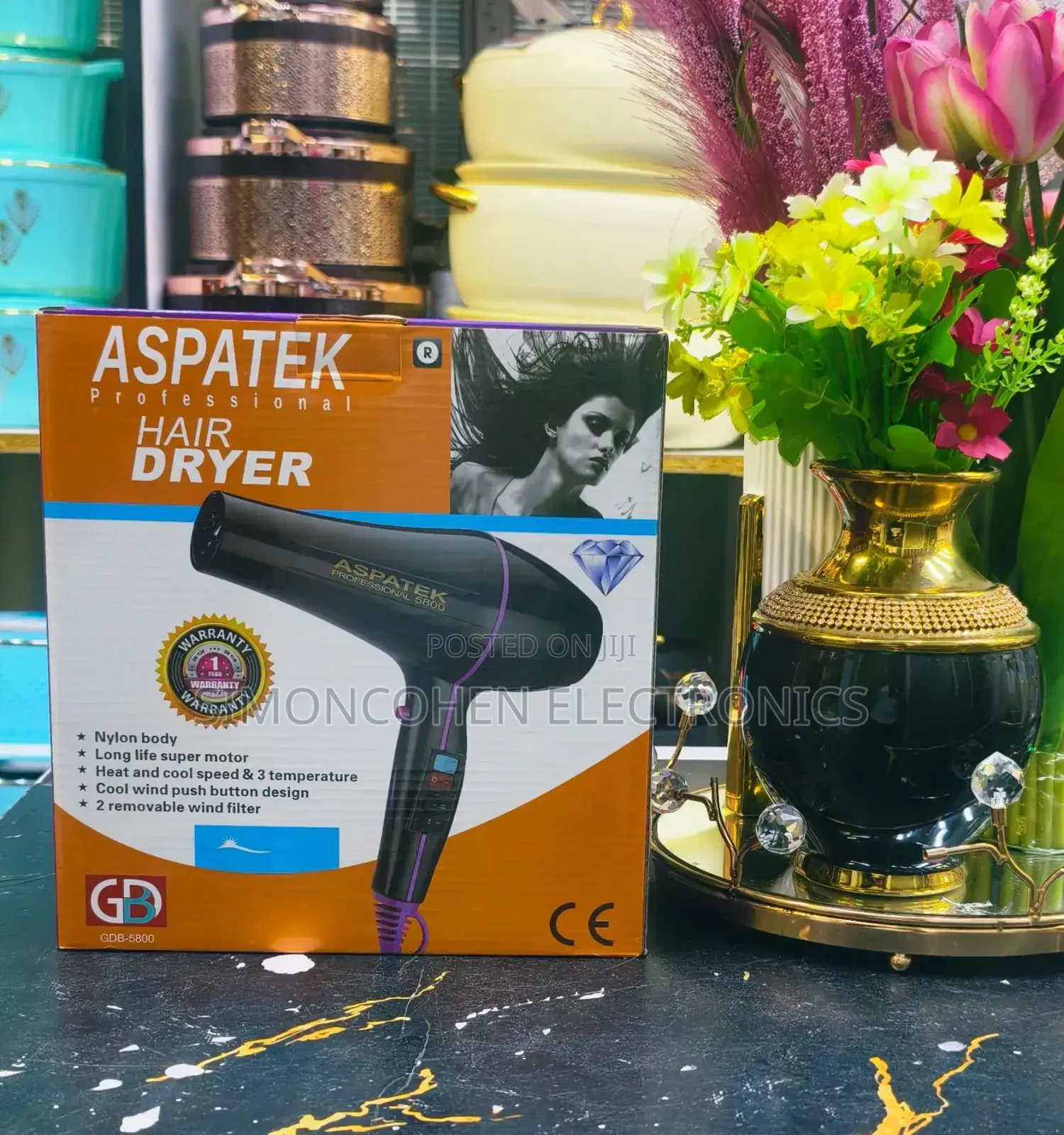 Aspatek Professional Hair Dryer