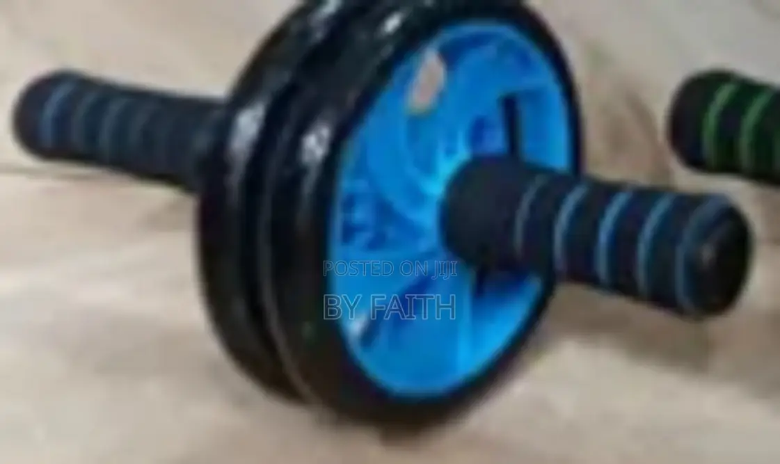 Ab Wheel Double Wheel Fitness Abs Roller With Free Mat