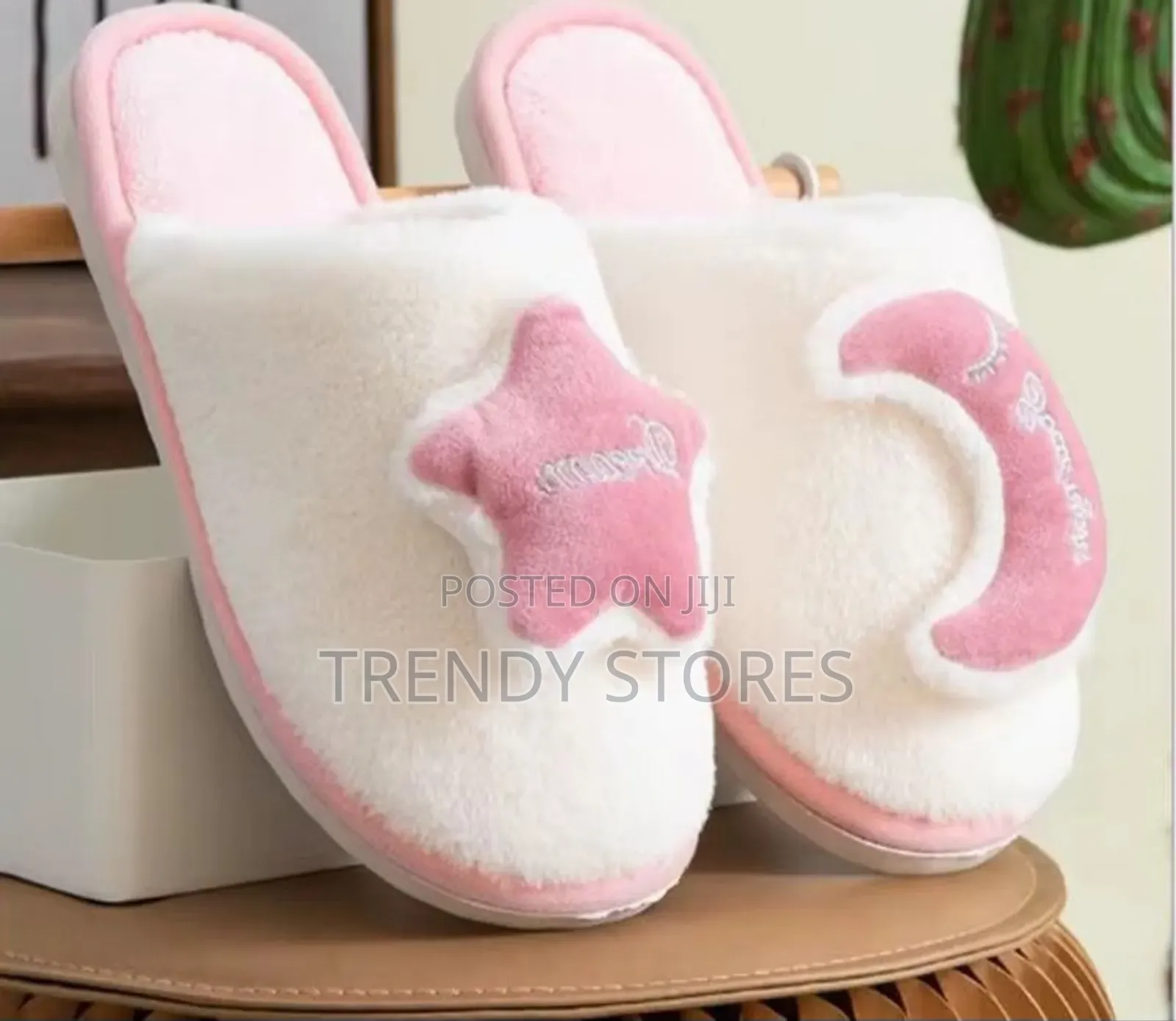 Indoor Shoes