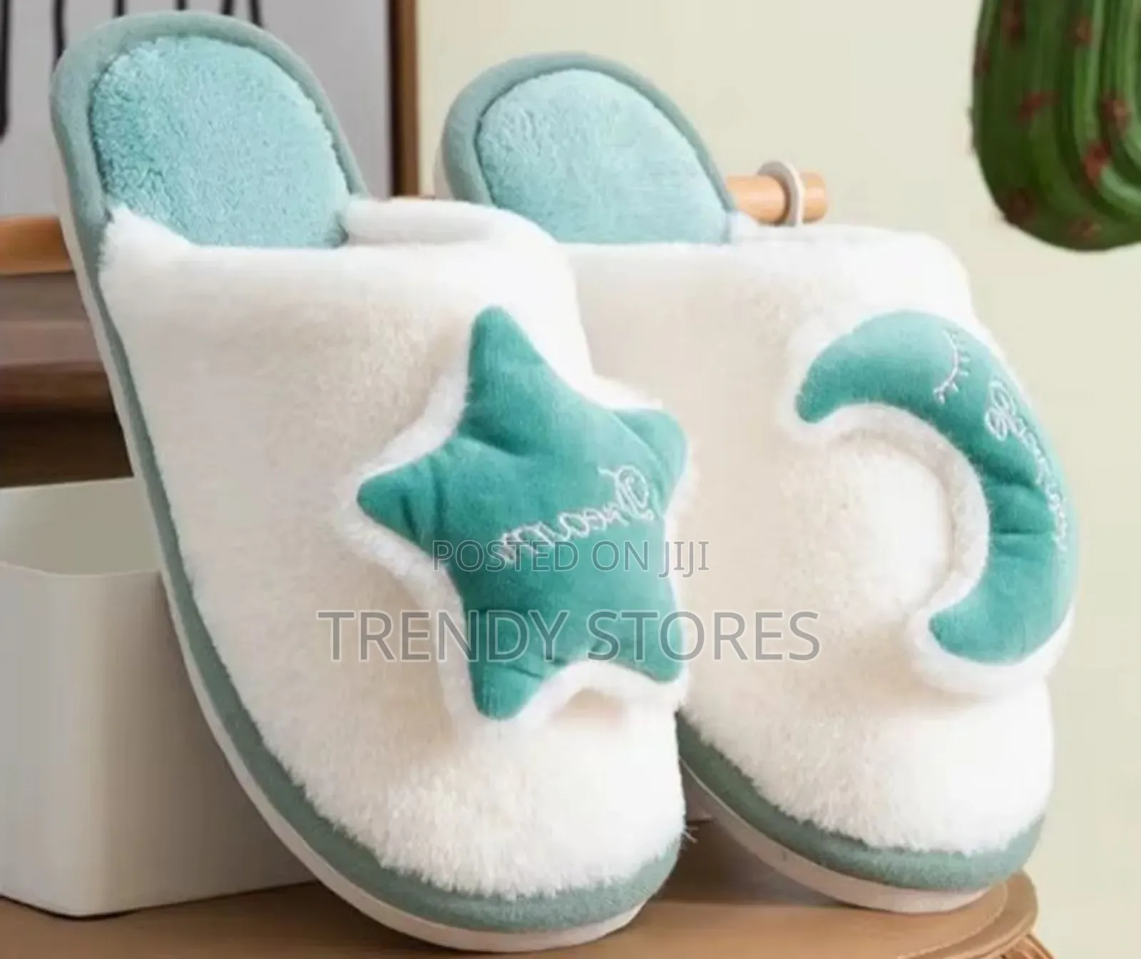Indoor Shoes