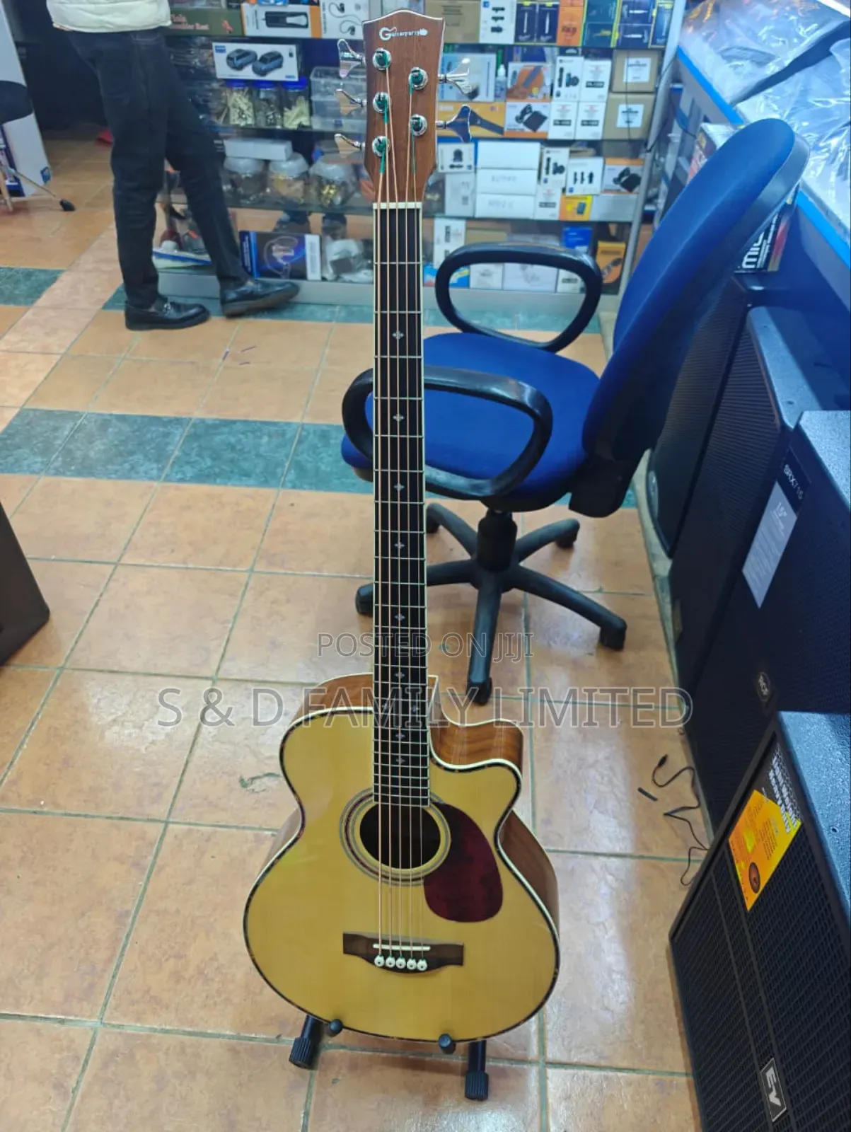 5 String Bass Semi-Acoustic Guitar