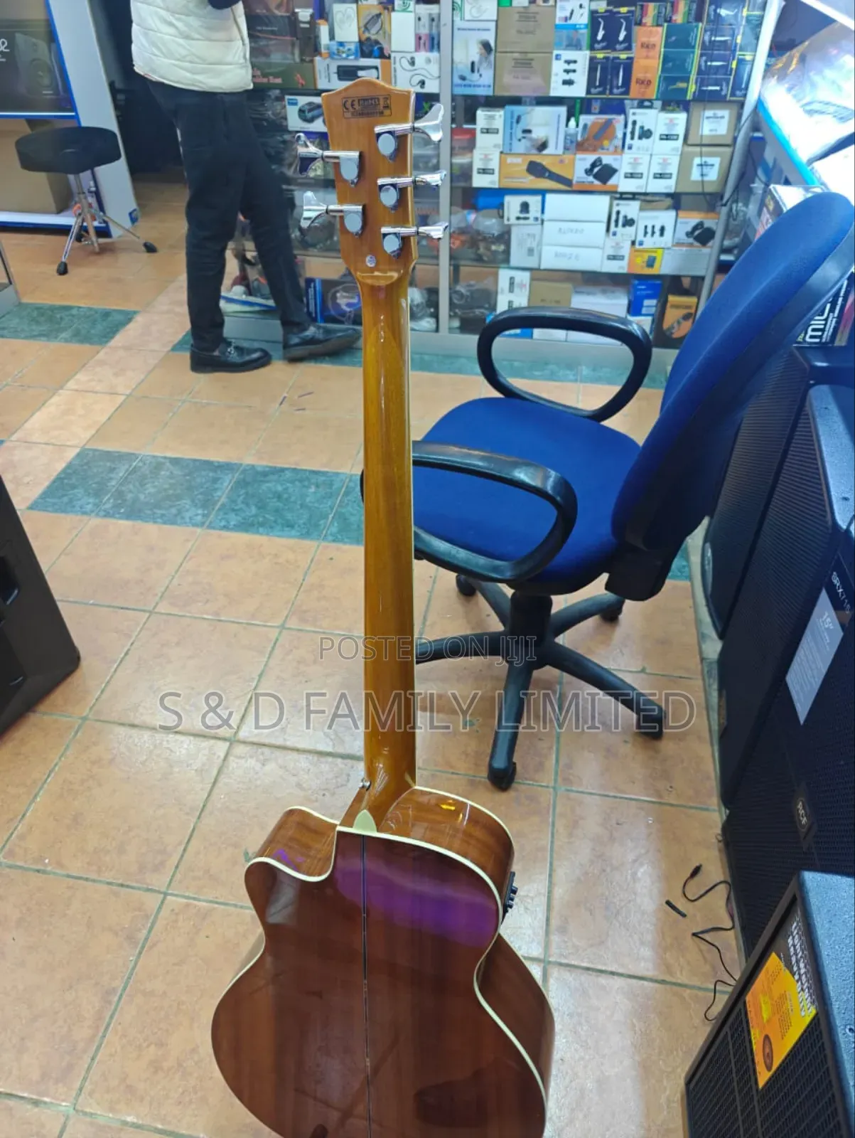 5 String Bass Semi-Acoustic Guitar