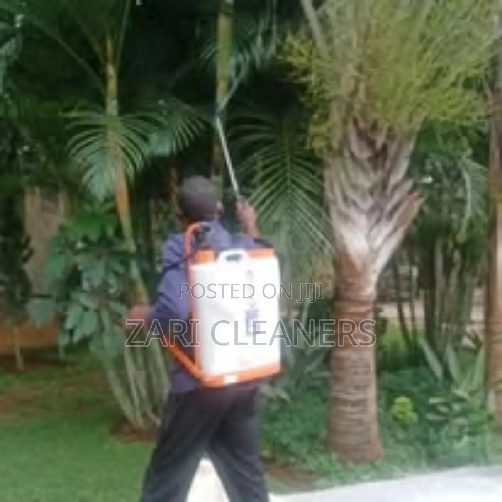 Reclaim It With Fumigation Experts