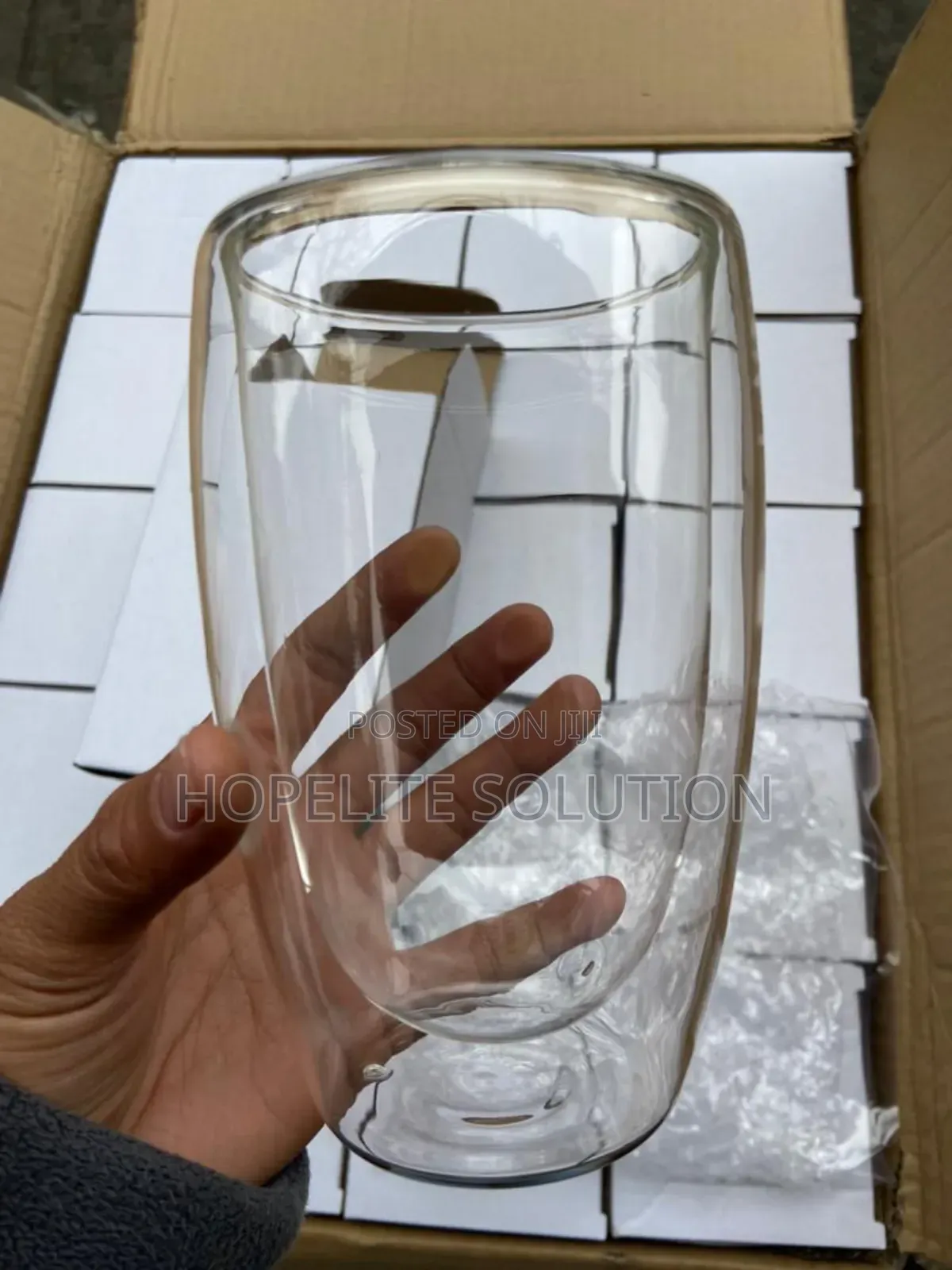 Double Wall Glass Cup