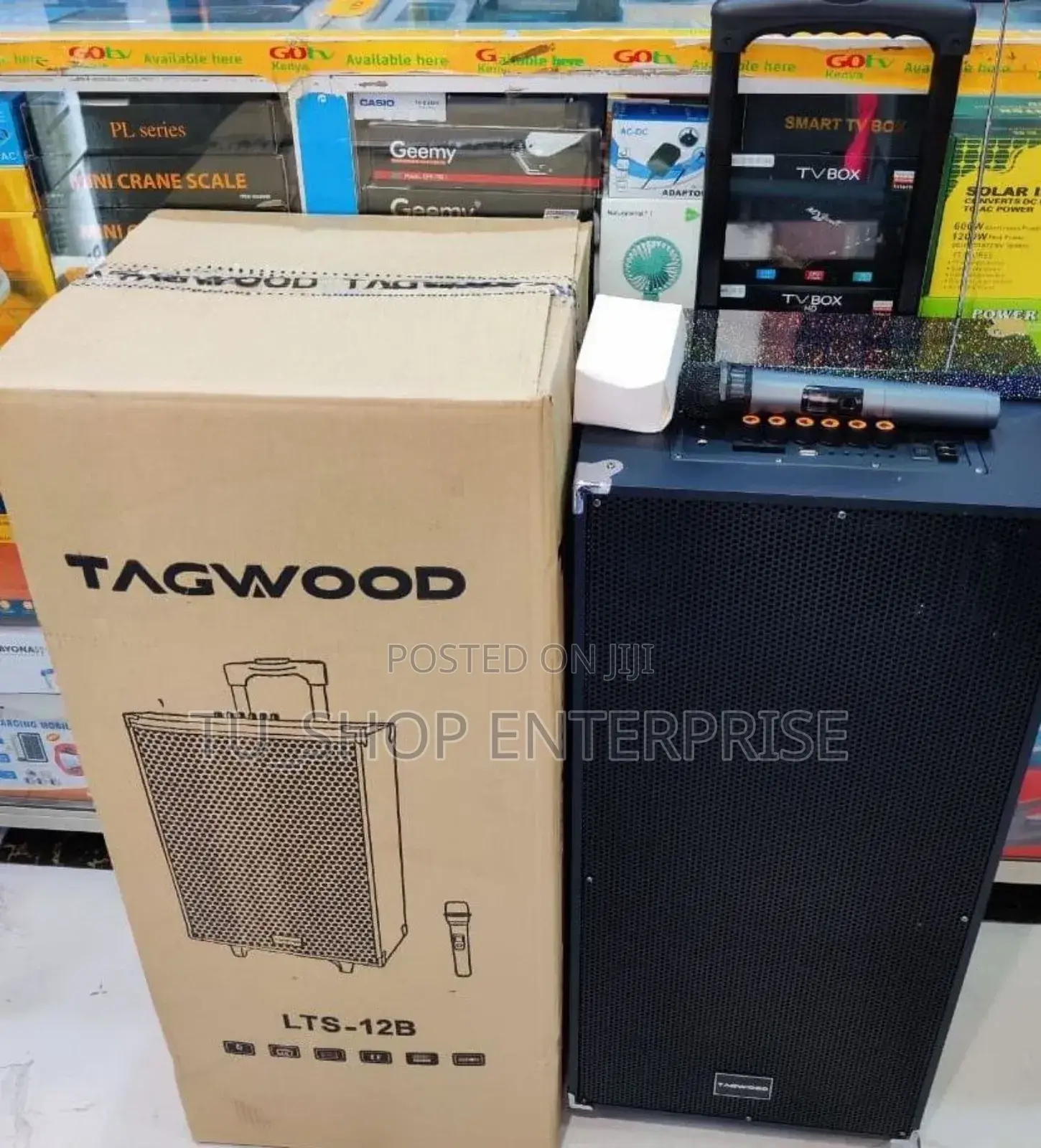 12" 12b Rechargeable Portable Speaker