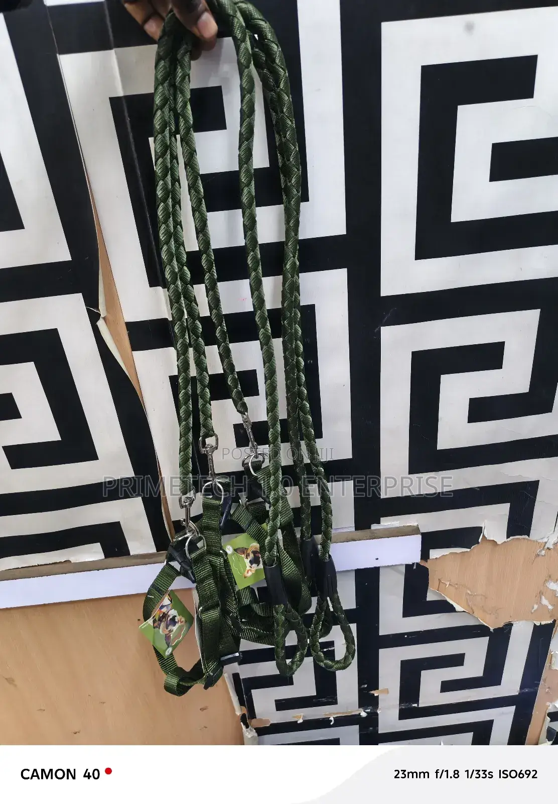 Puppy Leash and Harness